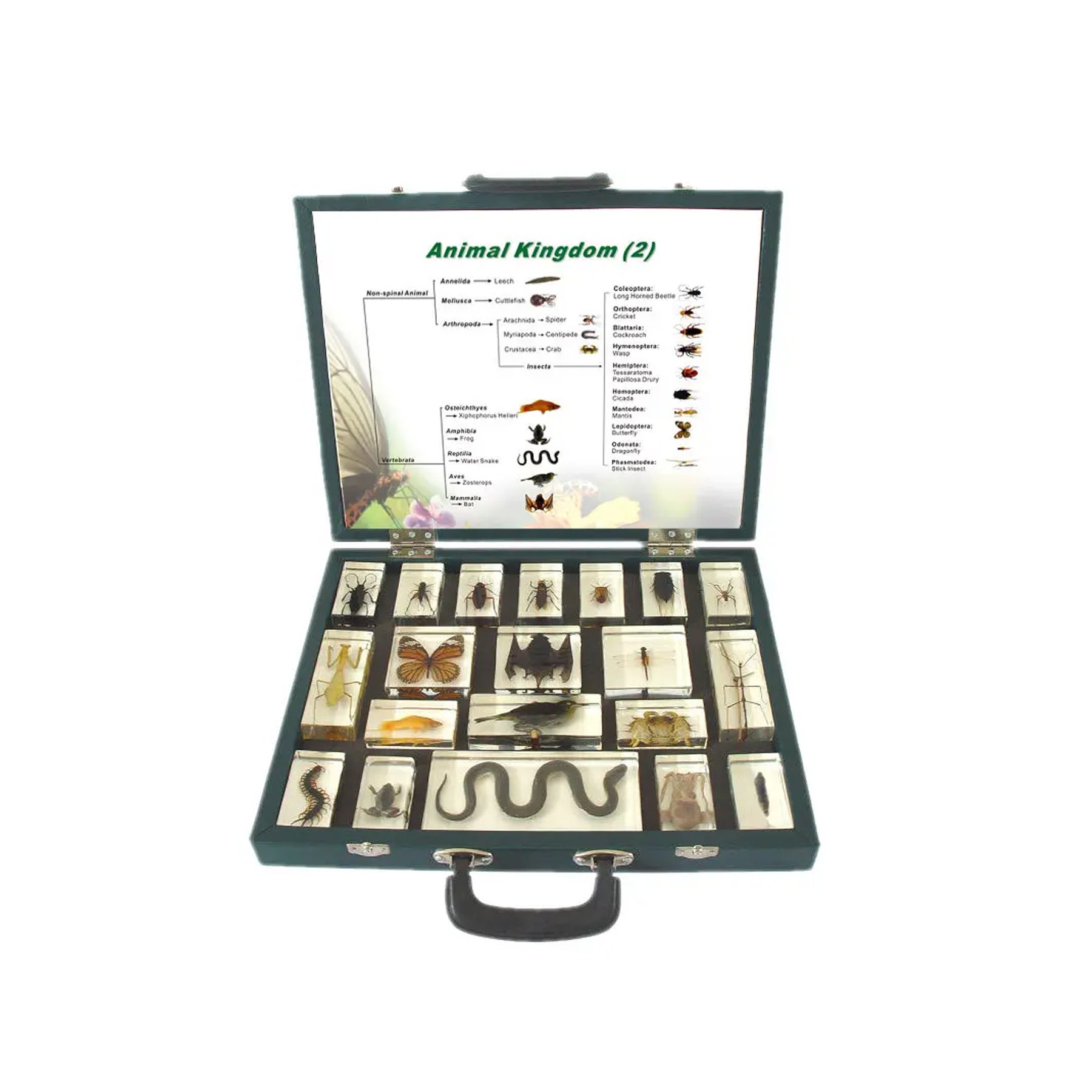 Gelsonlab Animal Kingdom set, in suitcase, 20 pieces
