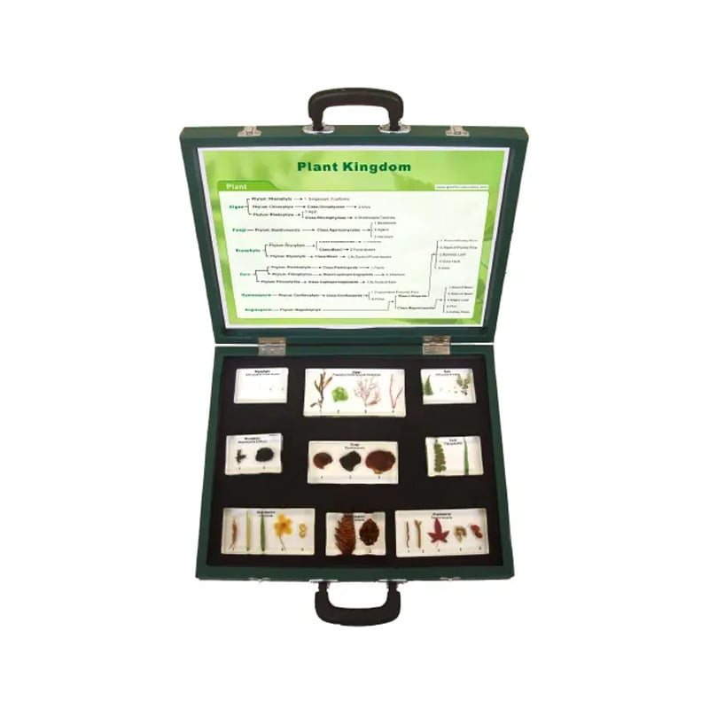 Gelsonlab Plant types kit, in suitcase, 9 parts