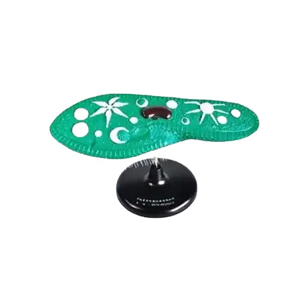 Gelsonlab Model of Paramecium