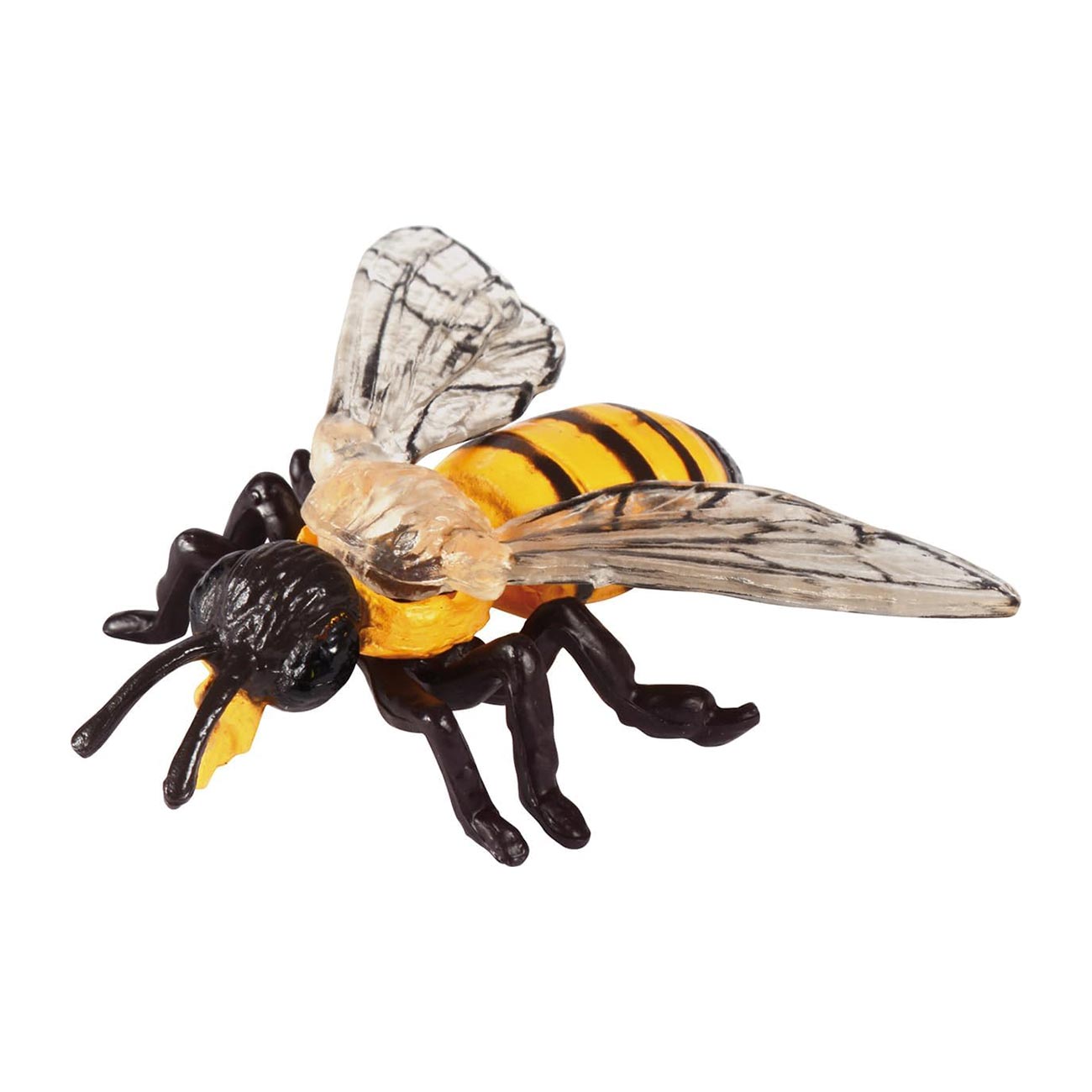 Life Cycle of a Bee Eduplay