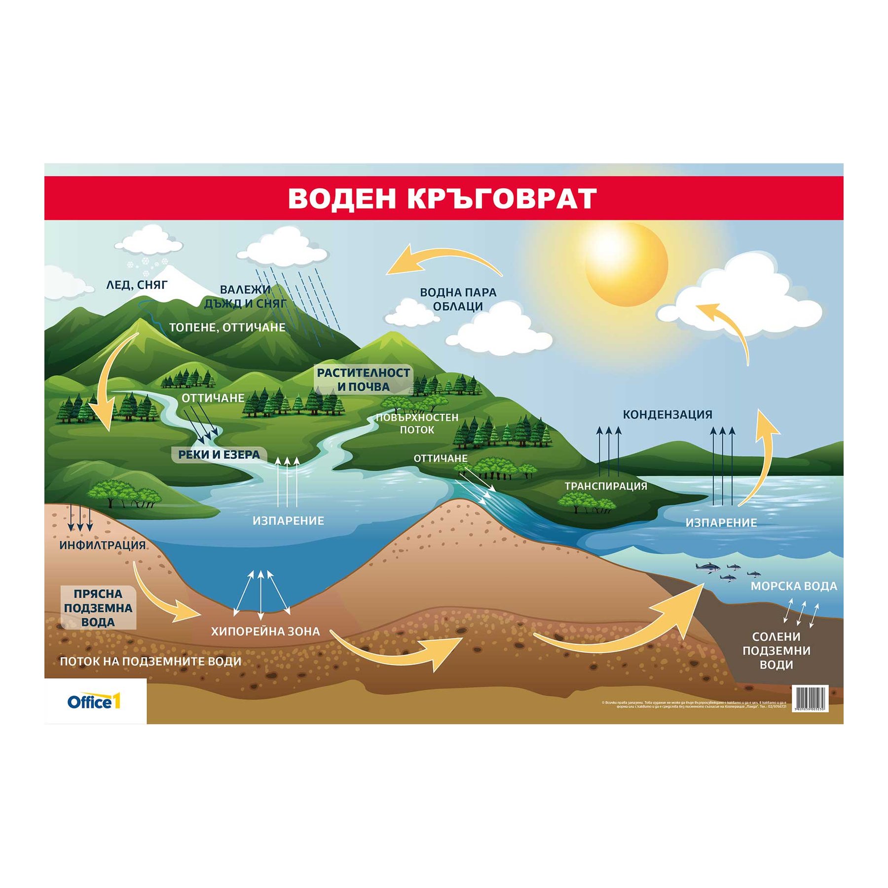 Office 1 Educational Chart “Water Cycle”, 100 x 70 cm