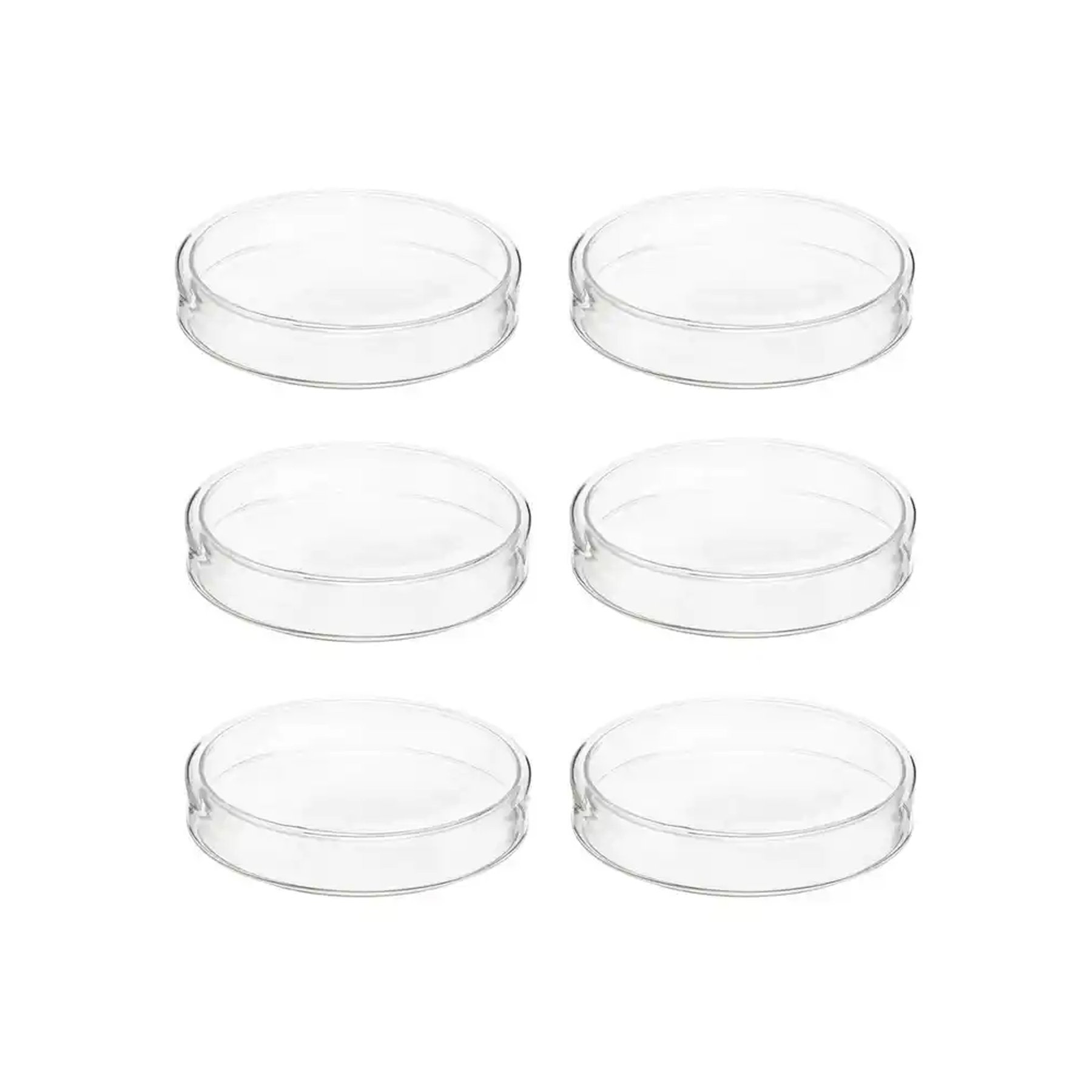 Gelsonlab Petri dish, glass, 75 mm