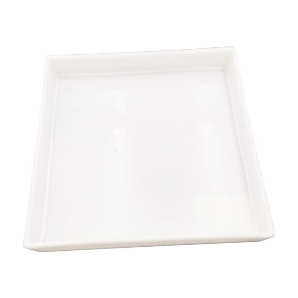Gelsonlab Tray, plastic, 30 x 30 x 5 cm
