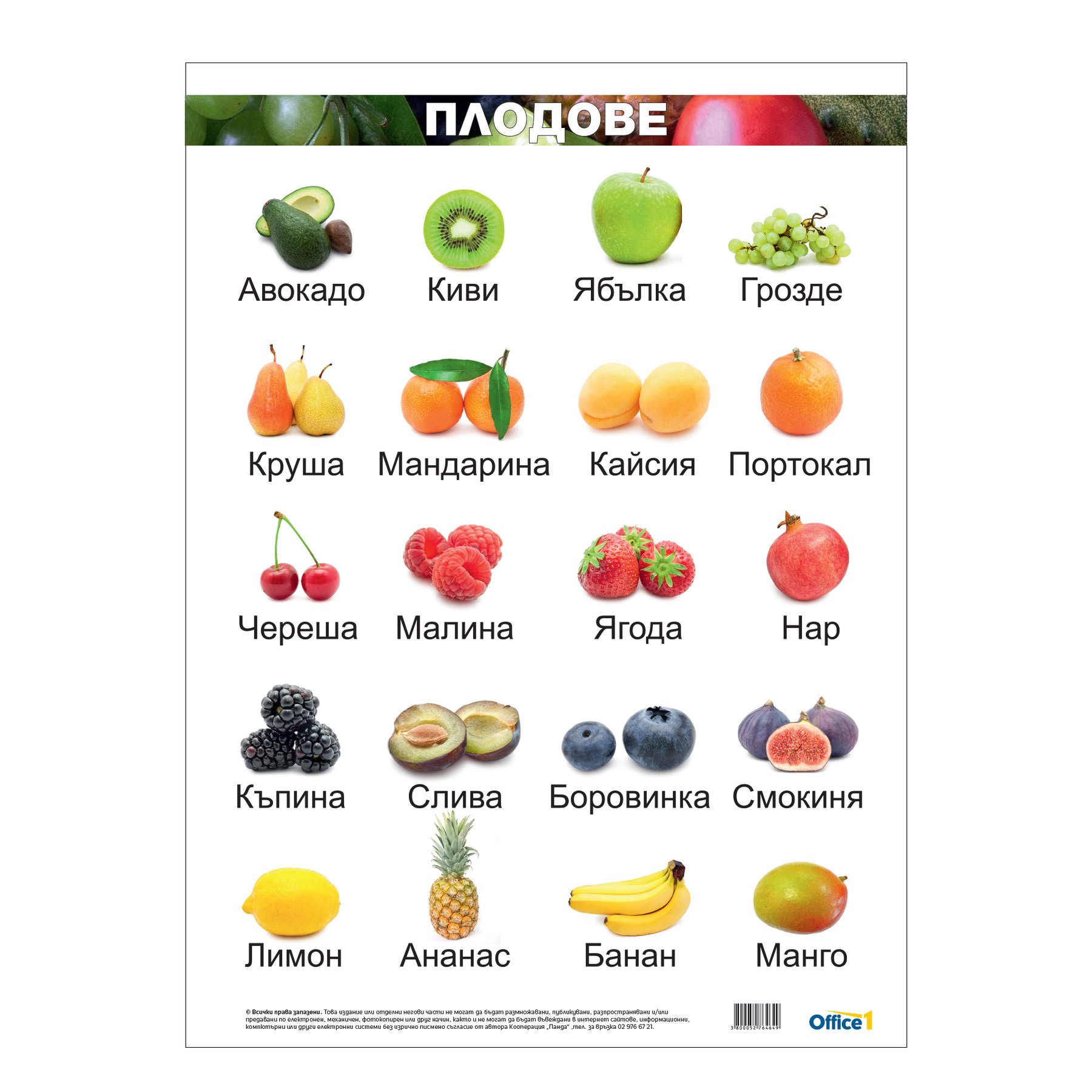 Office 1 Educational poster "Fruits", 50 x 70 cm, laminated cardboard