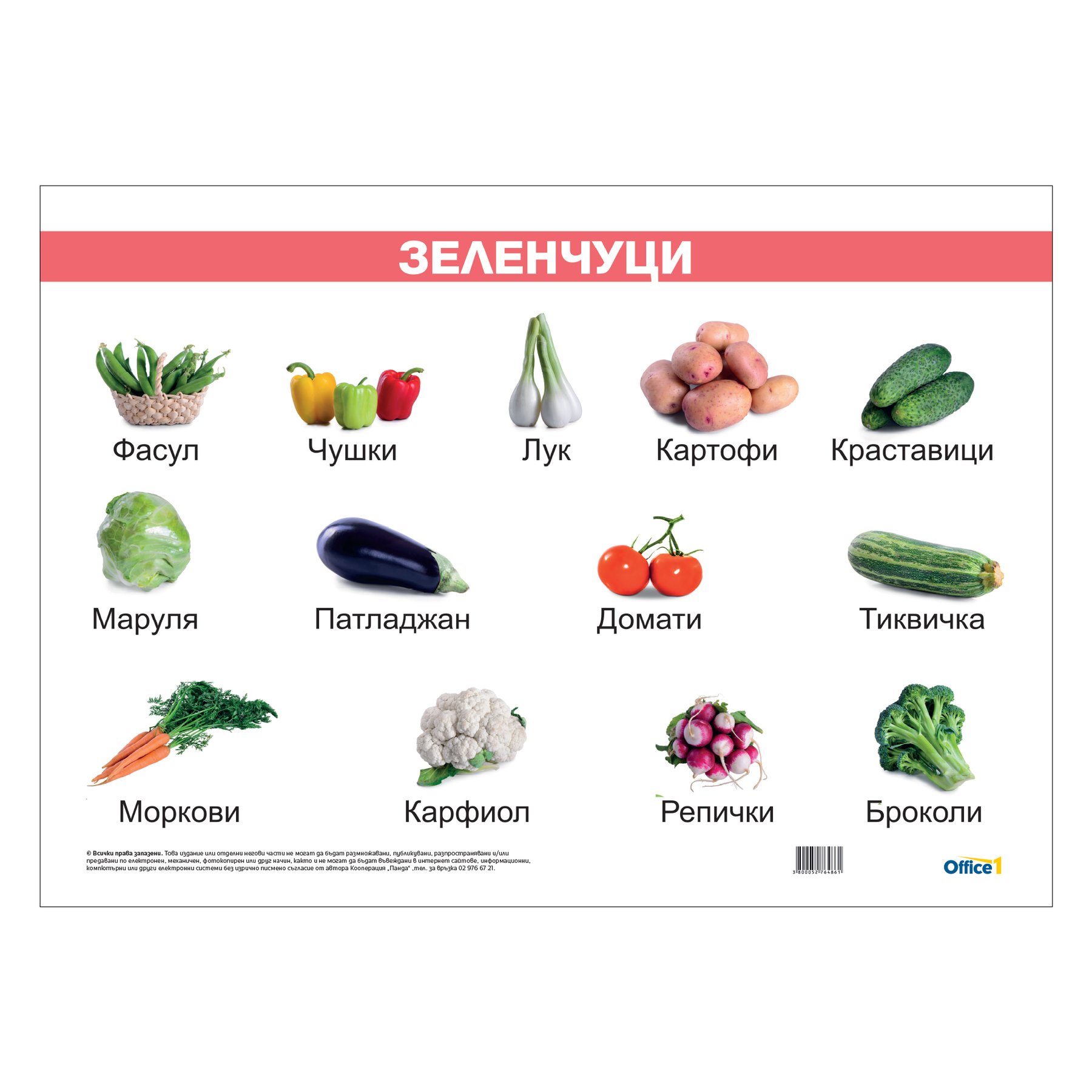 Office 1 Educational board “Vegetables”, laminated, 70 x 50 cm