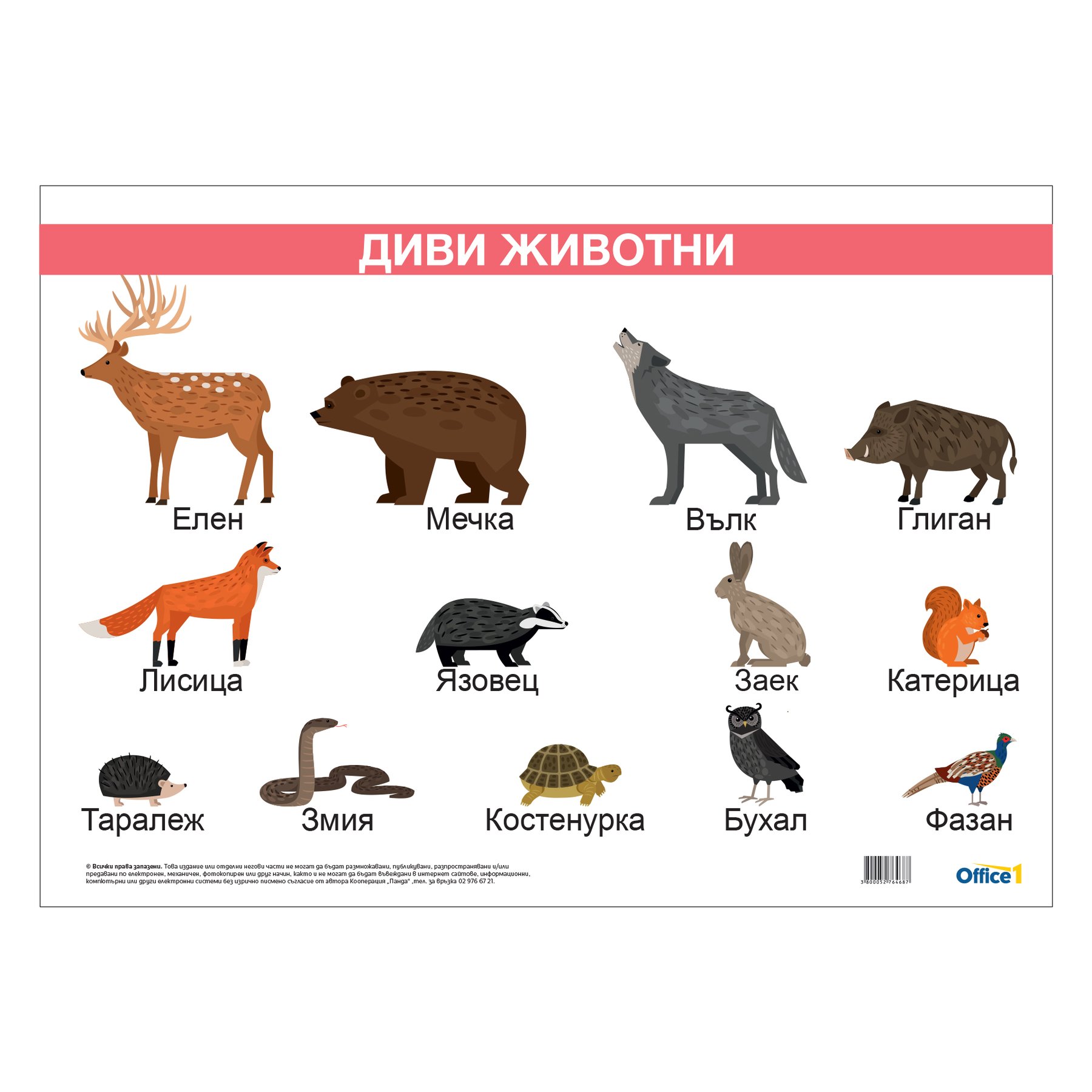 Office 1 School chart “Wild Animals”, laminated, 50 ? 70 cm, model 1