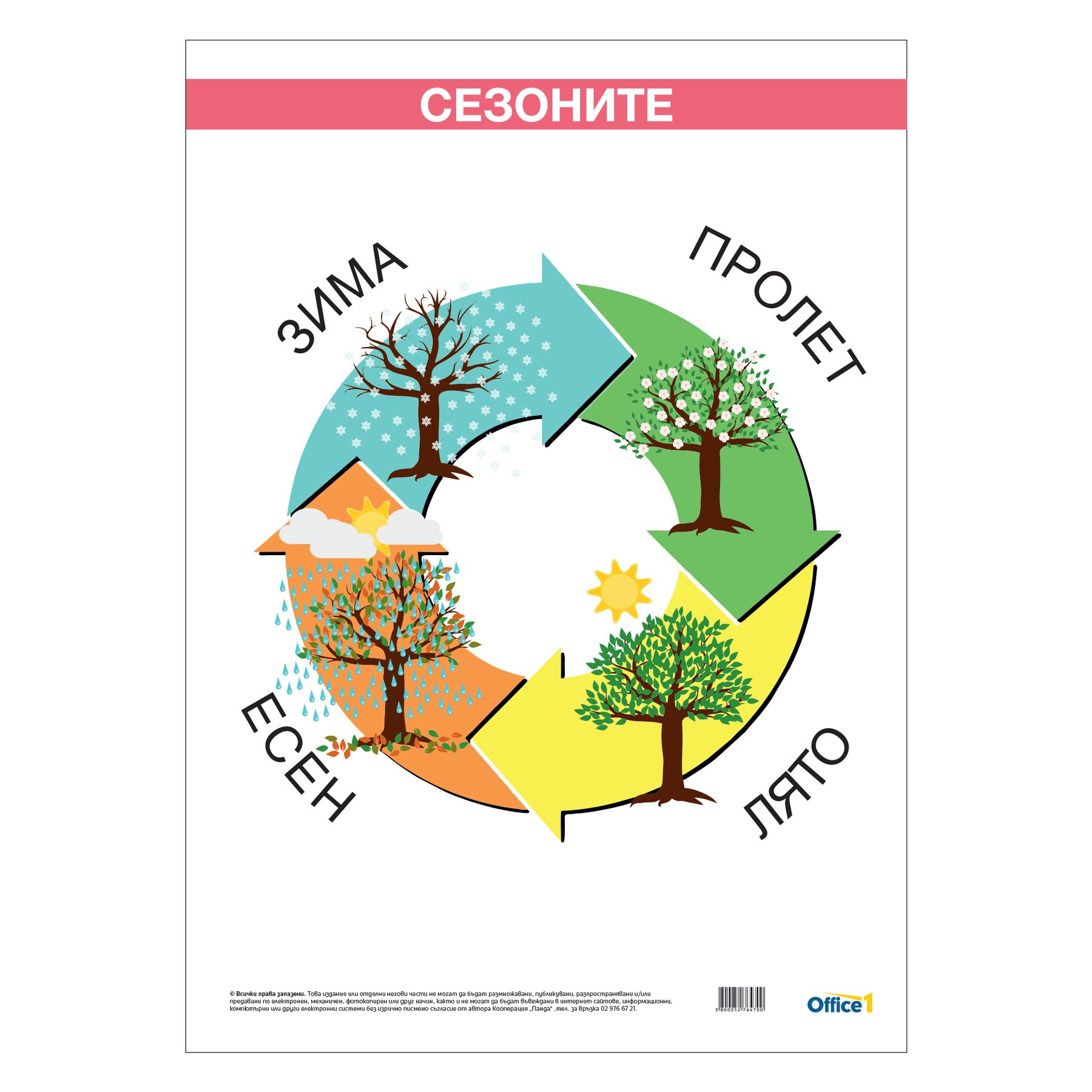 Office 1 Educational Board “Seasons”, laminated, 50 x 70 cm