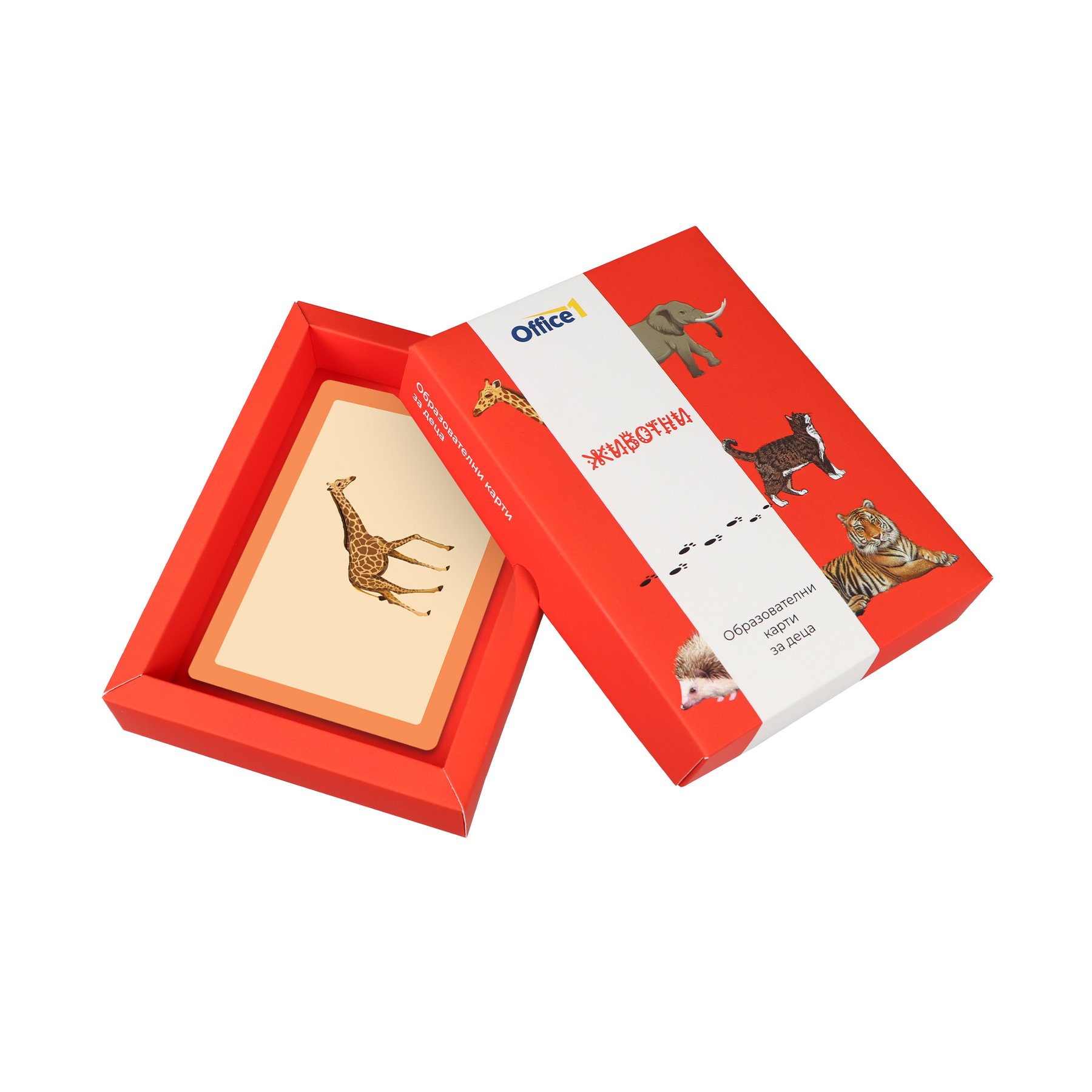 Office 1 Educational cards – Animals, 50 pcs
