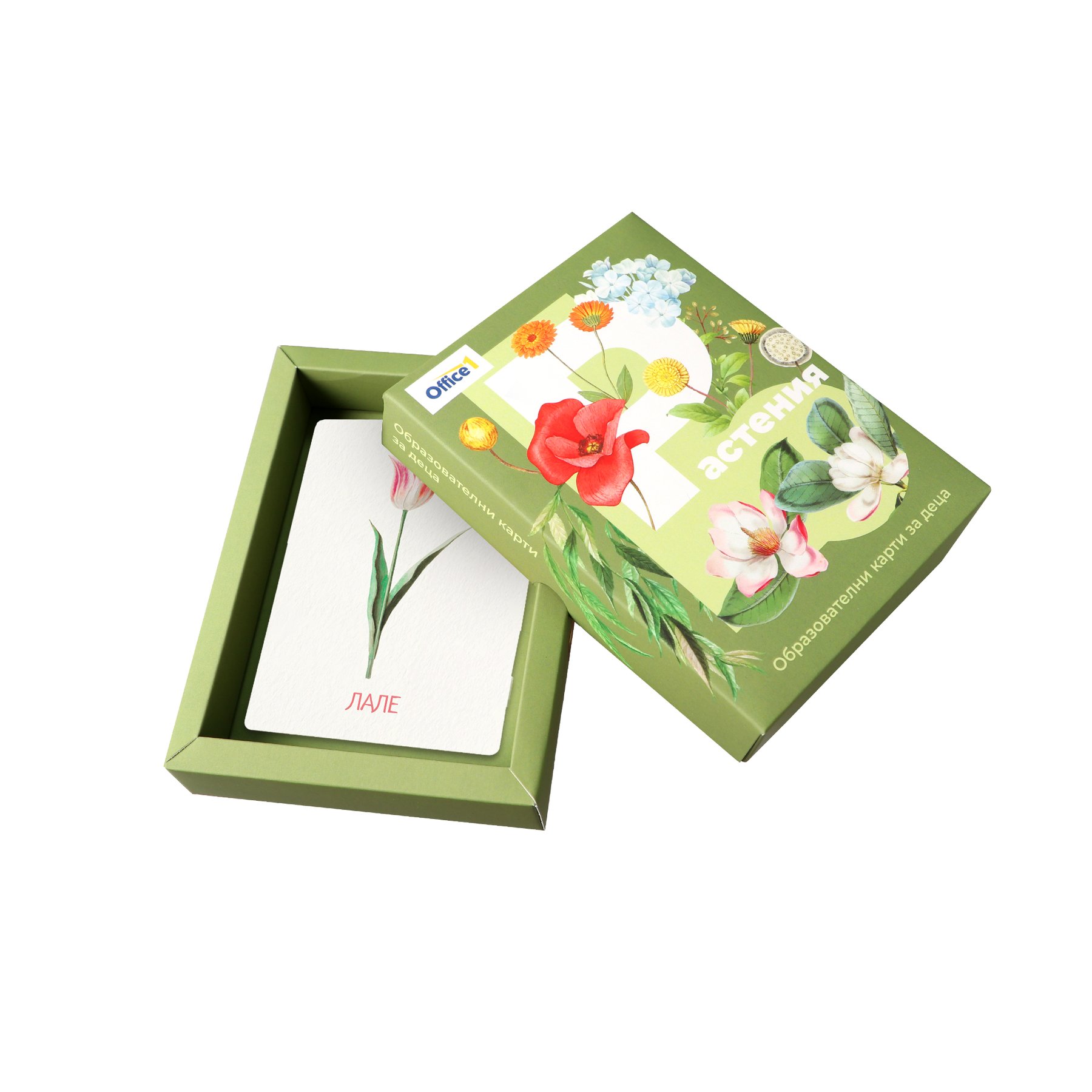 Office 1 Educational Cards – Plants, 43 pieces