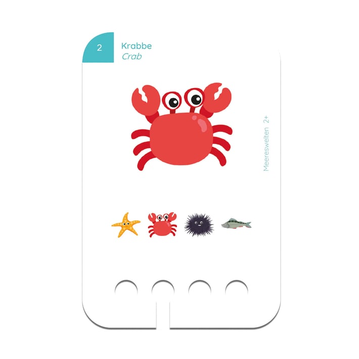 Educational Cards for Puncho Box – Sea World, 2+ years