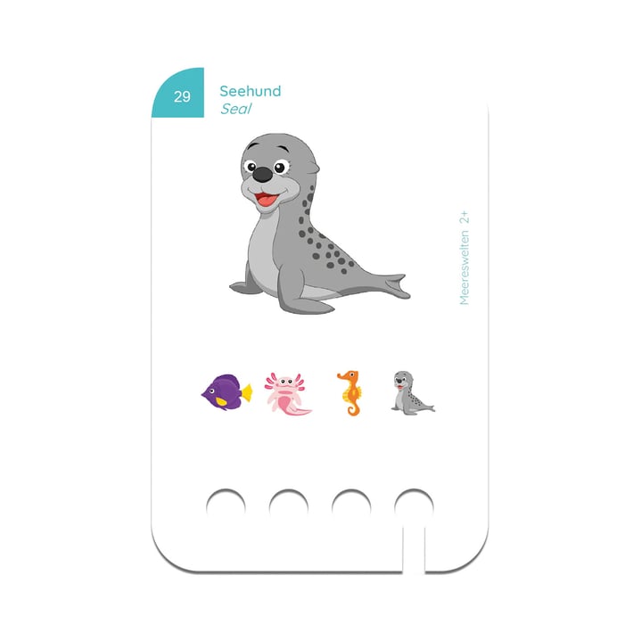 Educational Cards for Puncho Box – Sea World, 2+ years