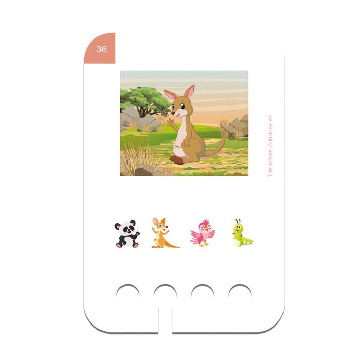 Educational Cards for Puncho Box – Where Animals Live, 4+ years