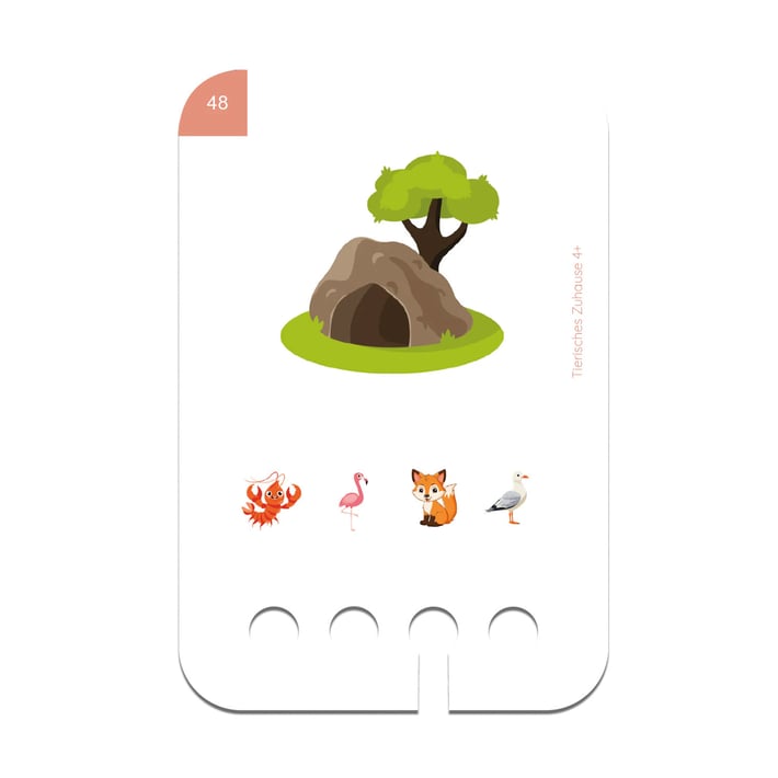 Educational Cards for Puncho Box – Where Animals Live, 4+ years