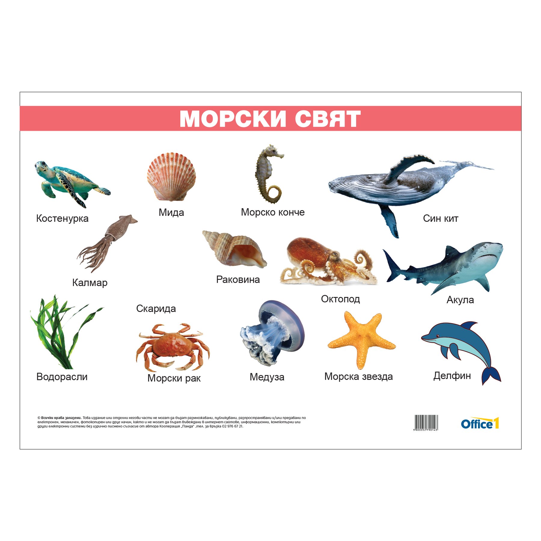 Office 1 School chart ''Sea world'', laminated, 50 x 70 cm, model 2