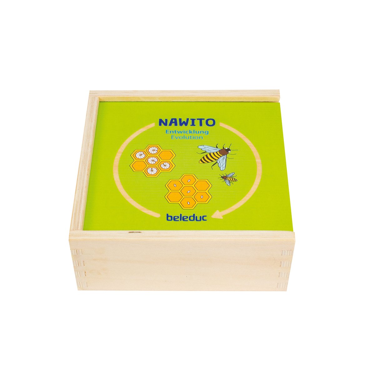 Beleduc Puzzle Life cycle development, wooden