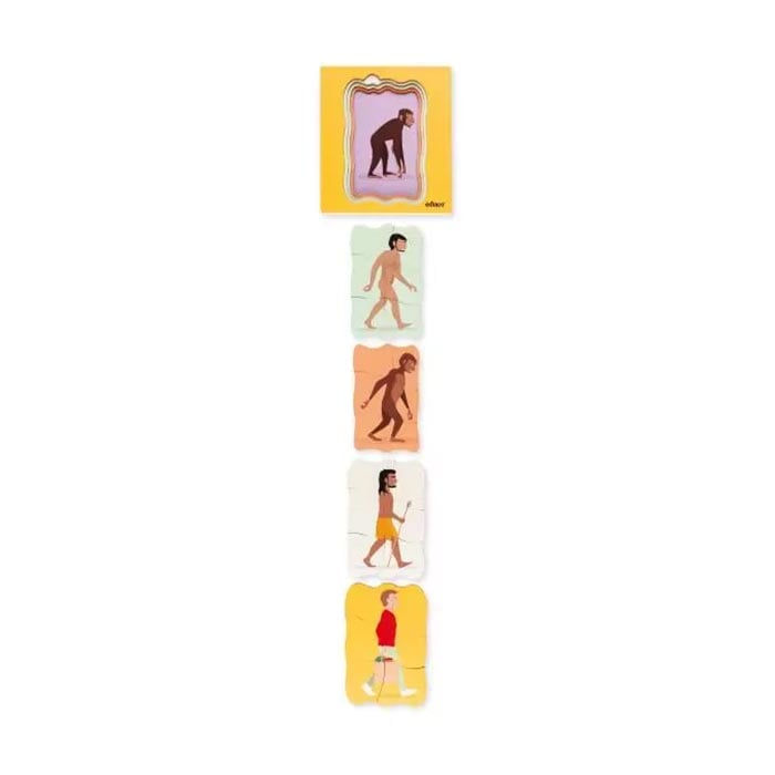 Nowa Szkola Puzzle Human Evolution, Layered