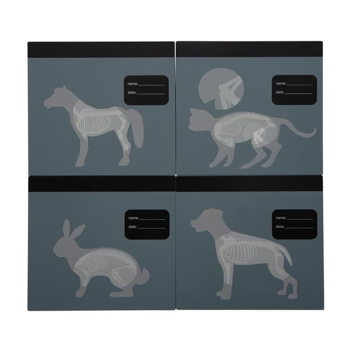 Small Foot Veterinary Bag, with medical equipment and bunny