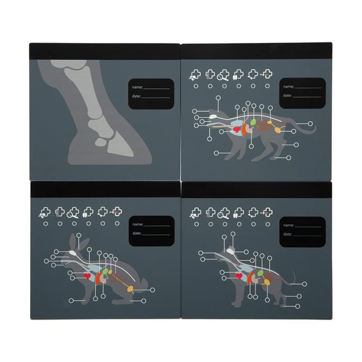 Small Foot Veterinary Bag, with medical equipment and bunny