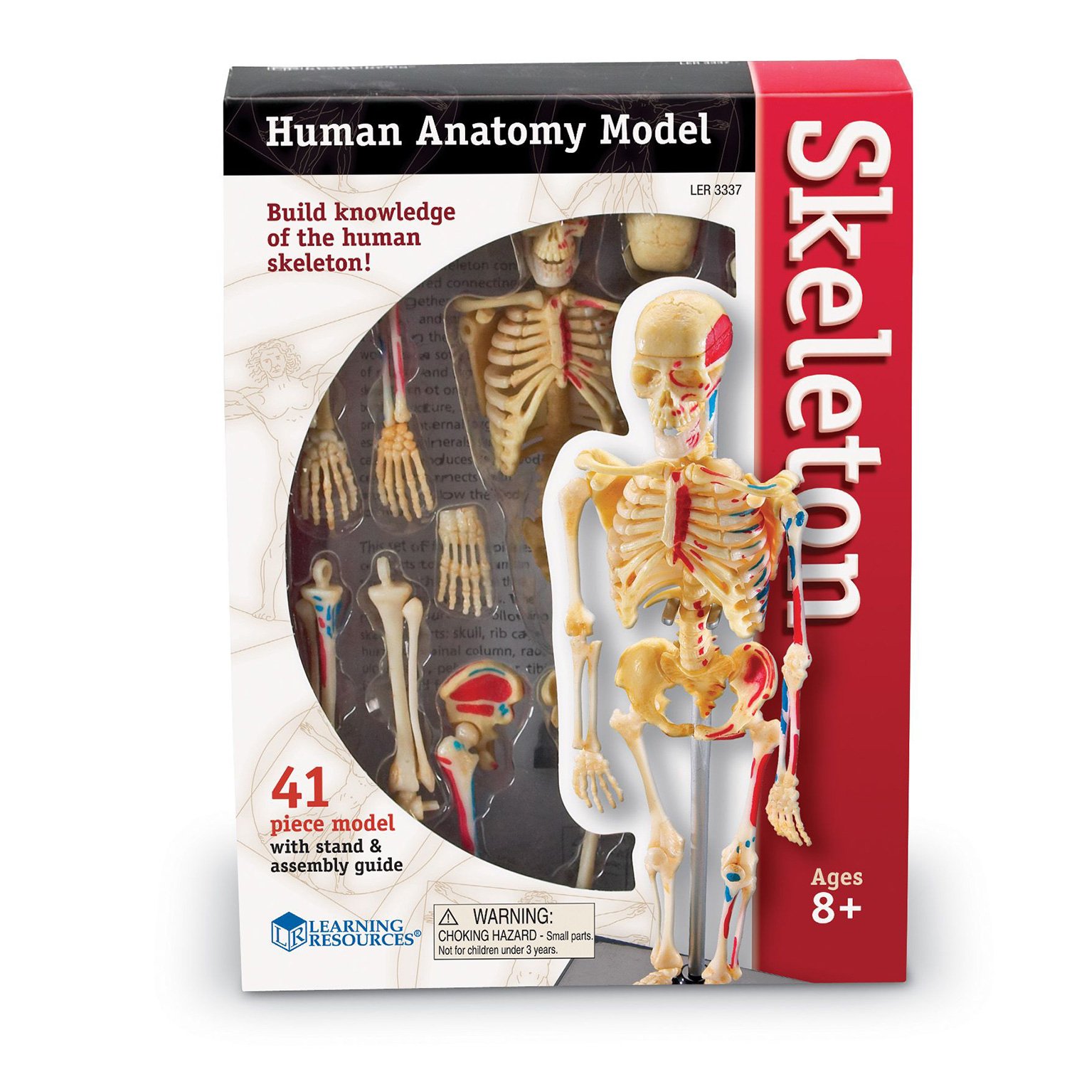Learning Resources Human skeleton, 23 cm
