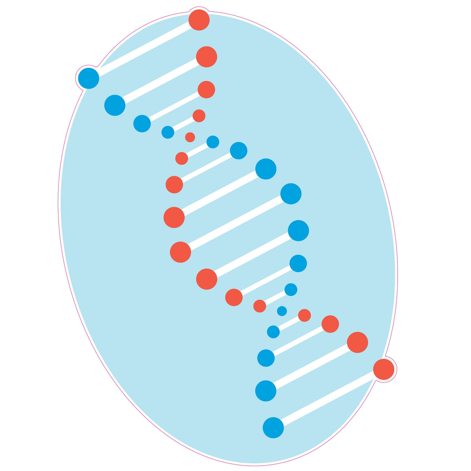 STEM Sticker, Natural sciences - Biology, set F1, 50 cm, sticker 2