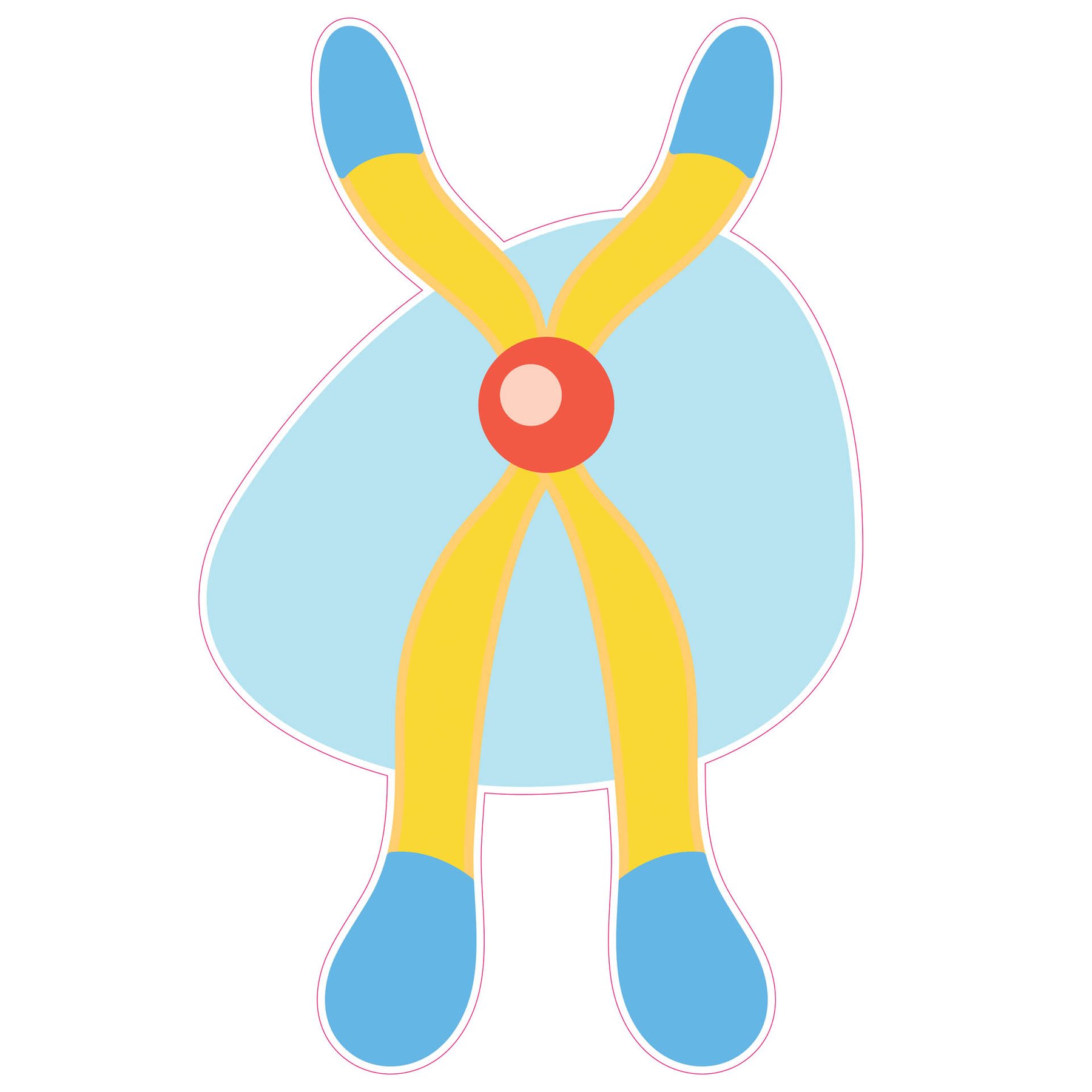 STEM Sticker, Natural Sciences - Biology, set F1, 50 cm, sticker 8