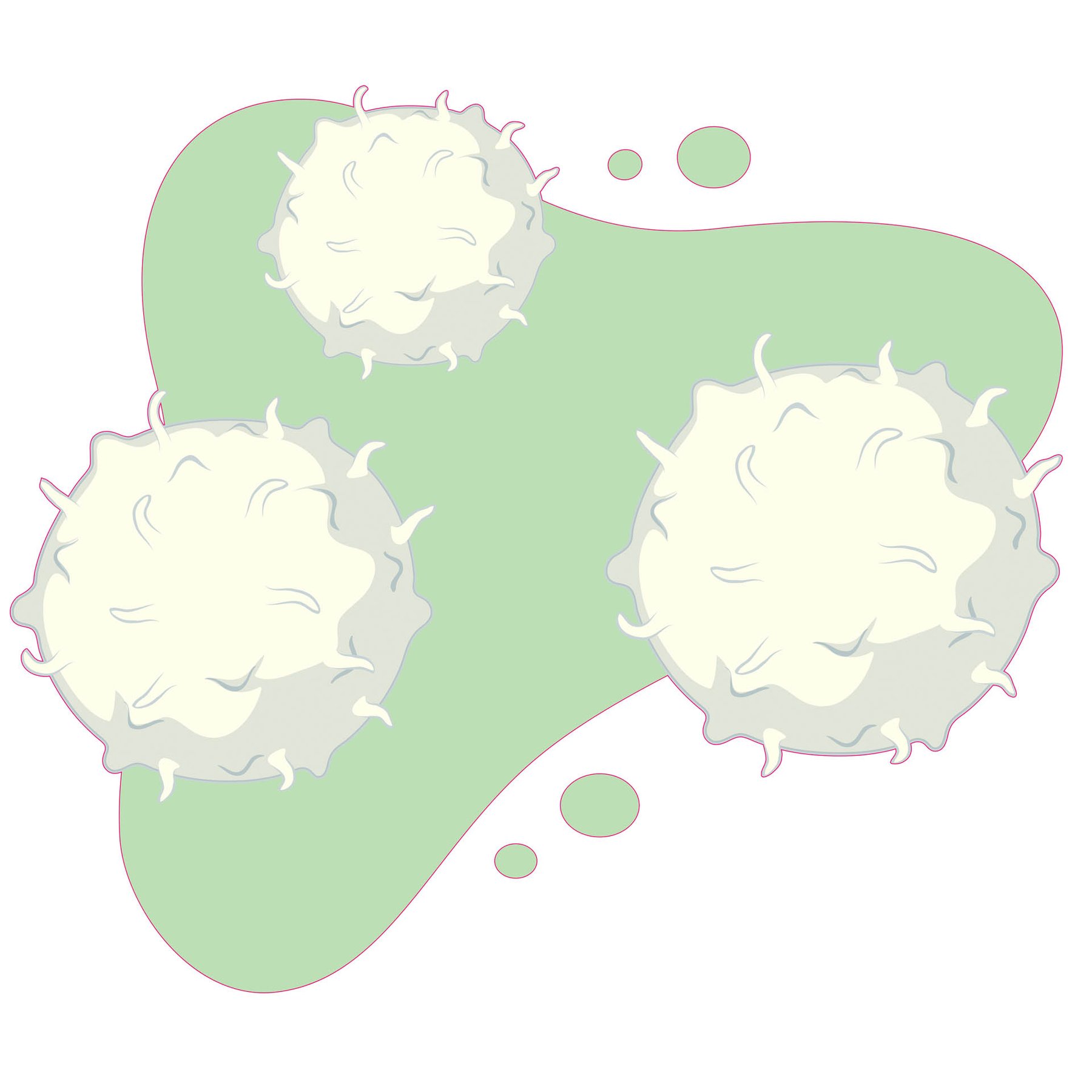 STEM Sticker, Natural Sciences - Biology, set F2, 50 cm, sticker 4