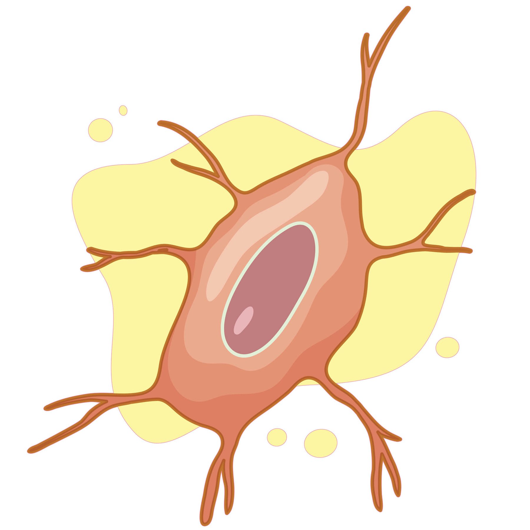 STEM Sticker, Natural Sciences – Biology, set F2, 50 cm, sticker 6