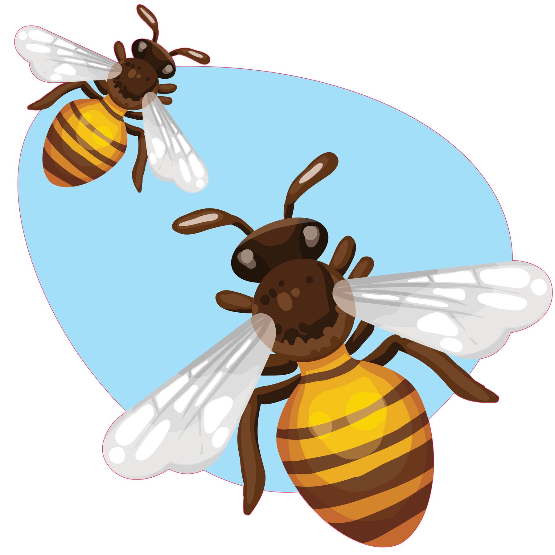 STEM Sticker, Natural sciences - Biology, set F2, 50 cm, sticker 8