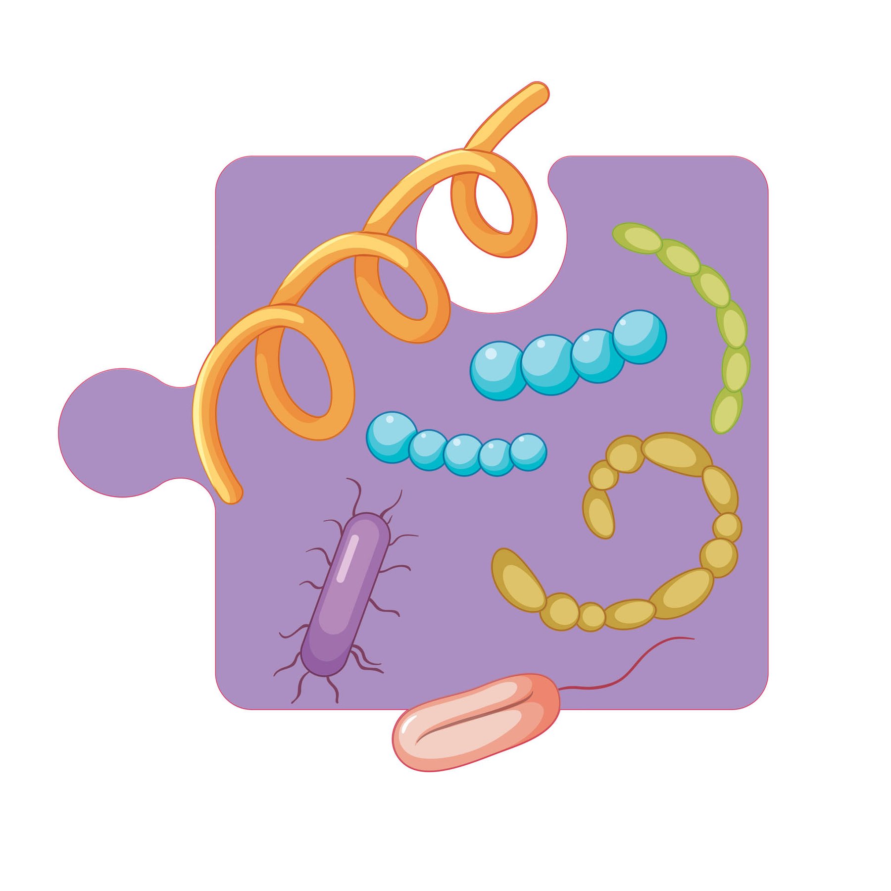 STEM Sticker, Natural sciences - Biology, set F3, 50 cm, sticker 6
