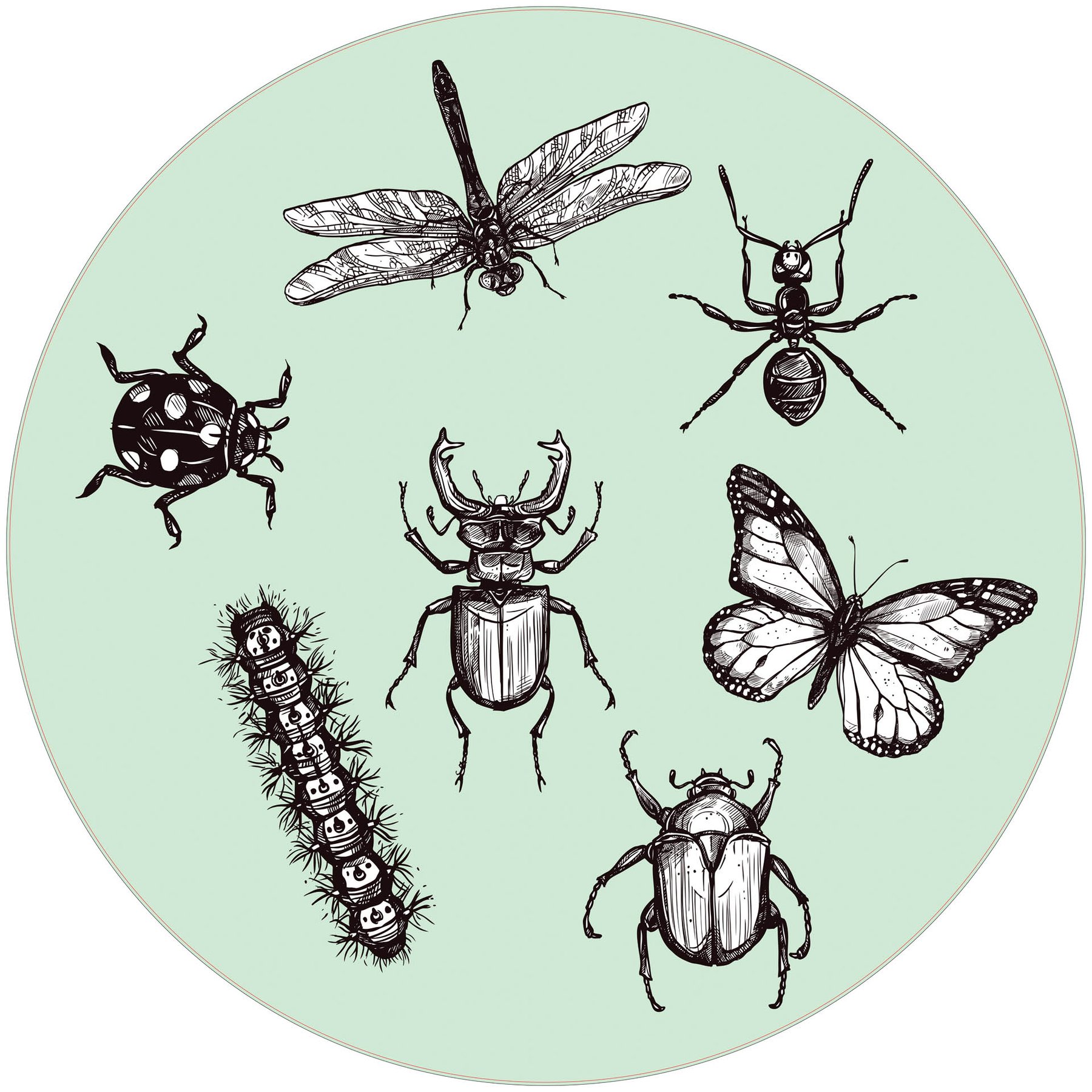 STEM Sticker, Natural Sciences – Biology, set F6, 50 cm, sticker 1