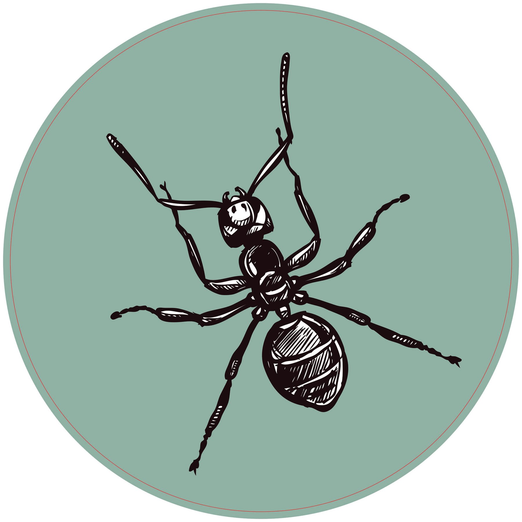 STEM Sticker, Natural sciences - Biology, set F6, 50 cm, sticker 2