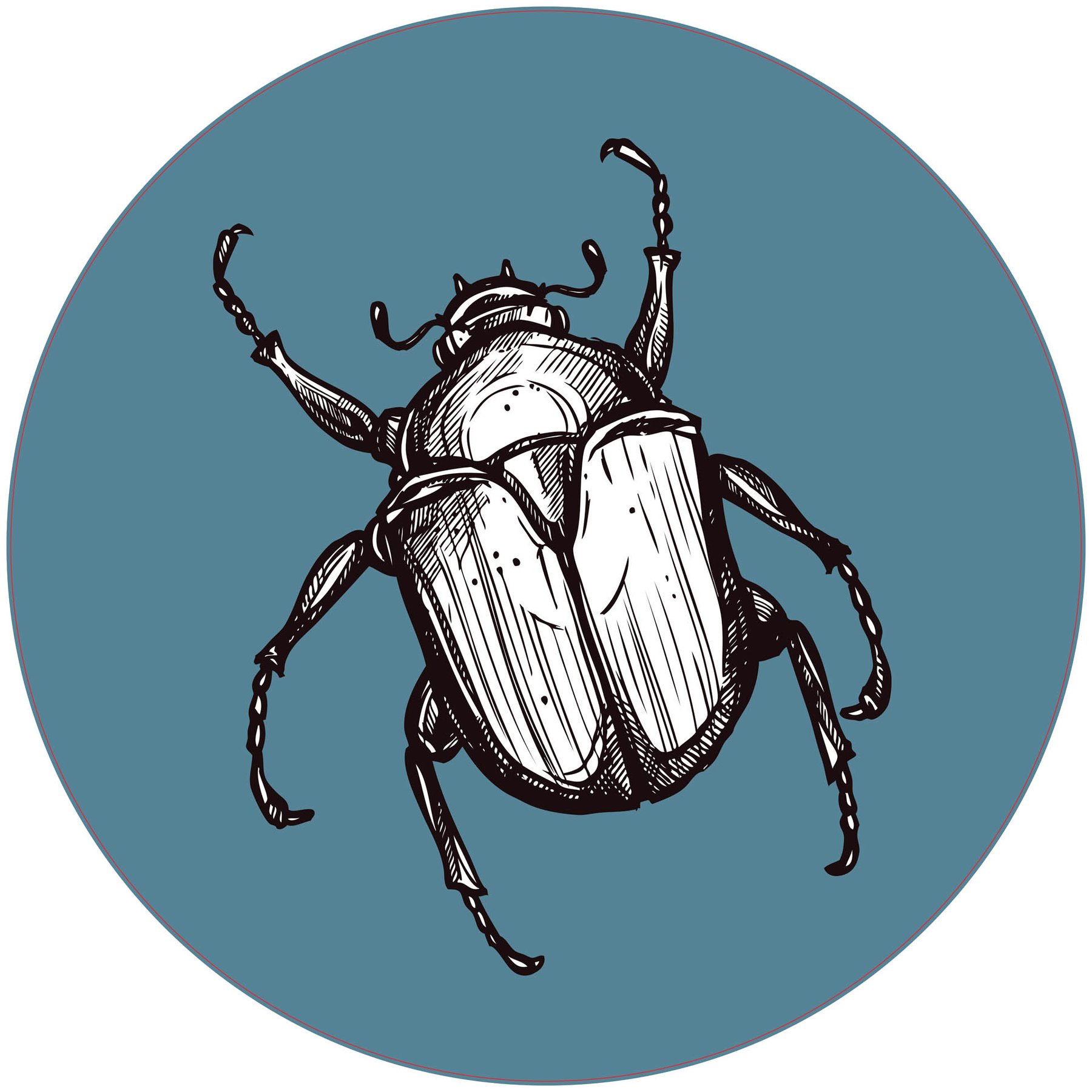 STEM Sticker, Natural Sciences - Biology, set F6, 50 cm, sticker 4