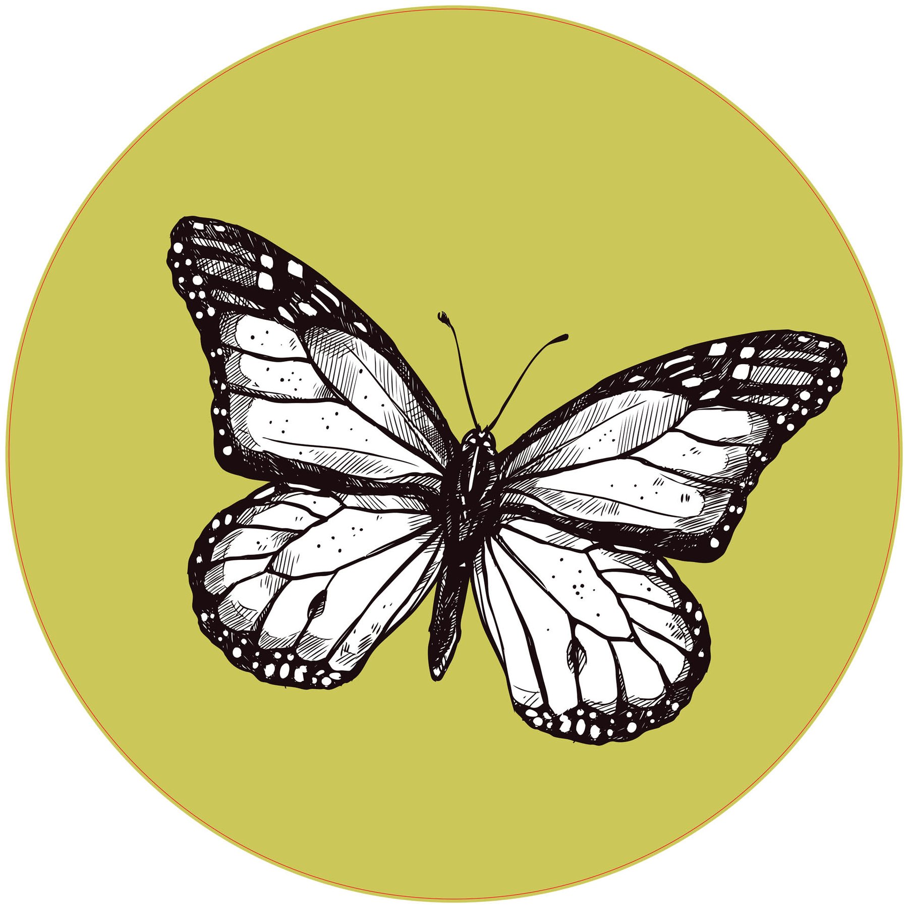 STEM Sticker, Natural Sciences - Biology, Set F6, 50 cm, Sticker 5