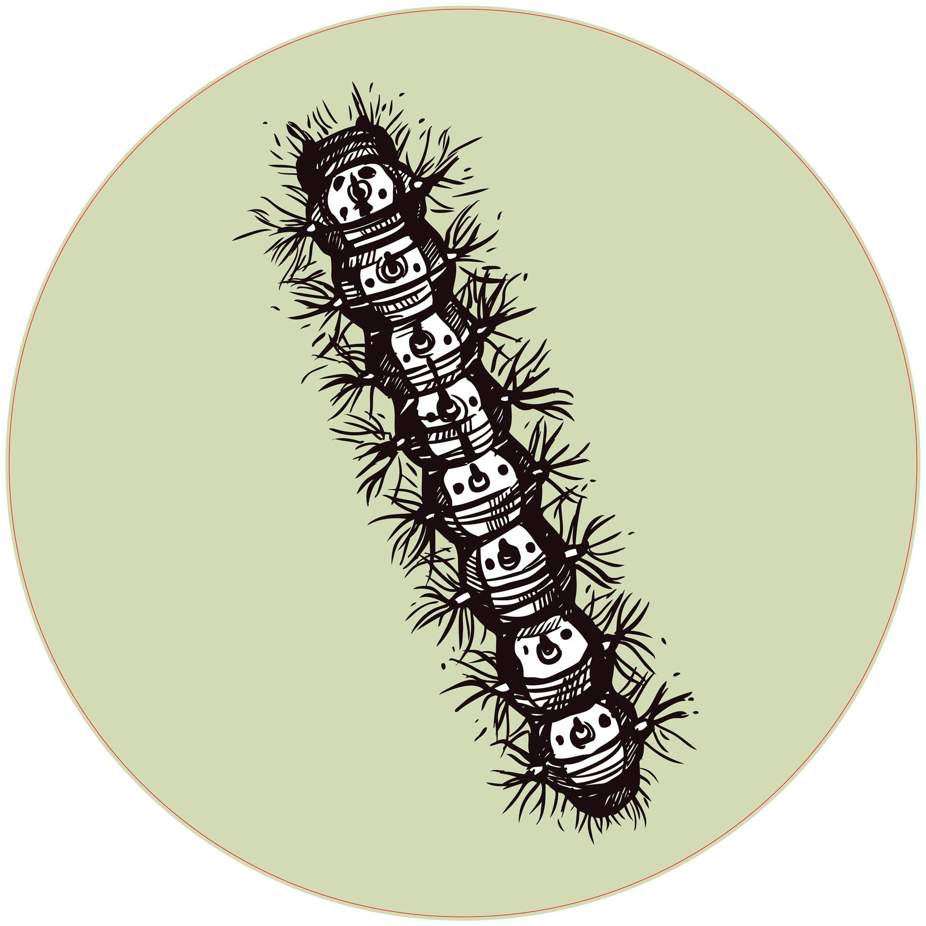 STEM Sticker, Natural Sciences - Biology, set F6, 50 cm, sticker 6