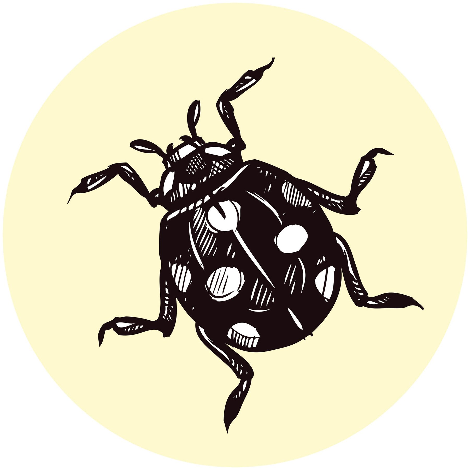 STEM Sticker, Natural Sciences - Biology, set F6, 50 cm, sticker 8