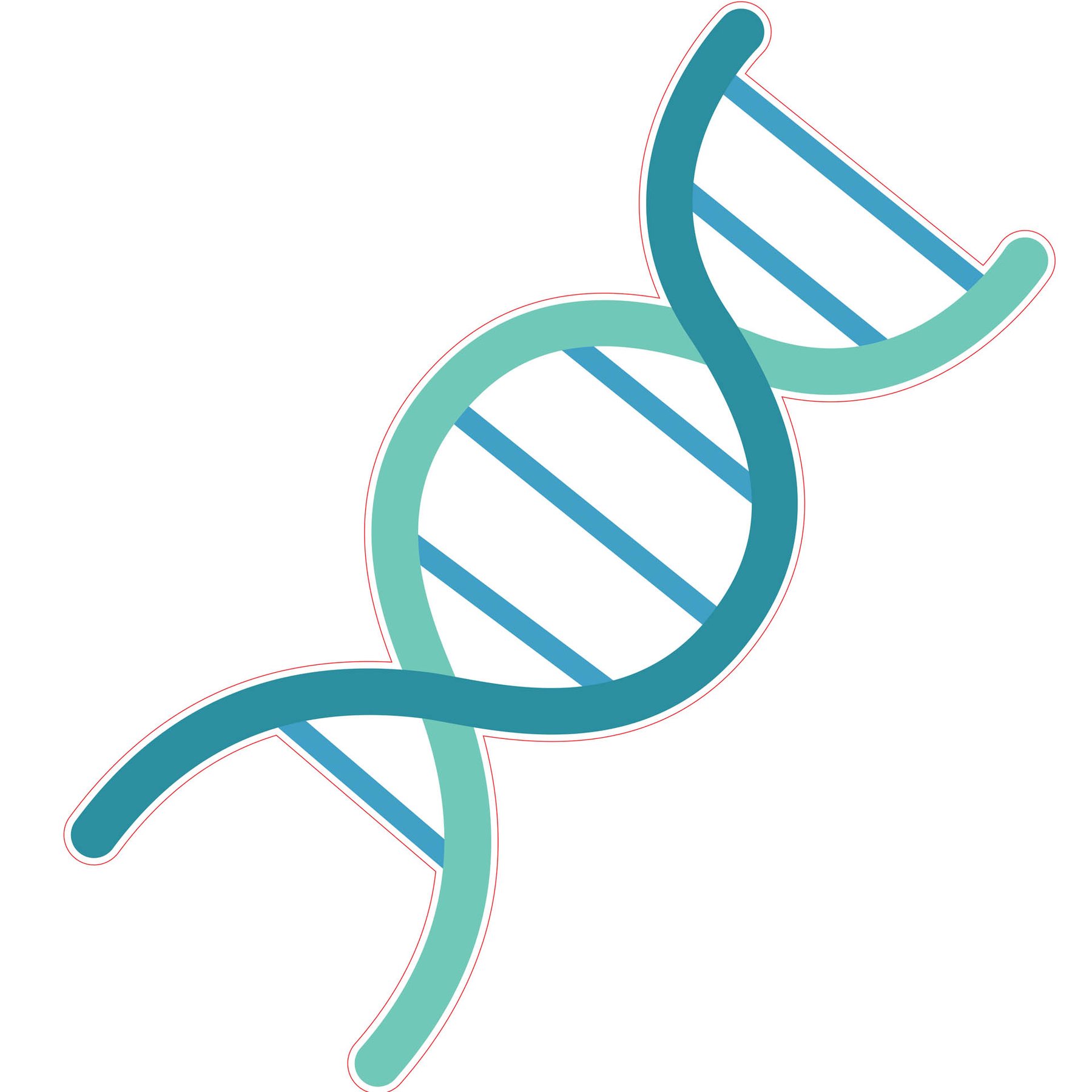 STEM Sticker, Natural sciences - Biology, set F8, 50 cm, sticker 4