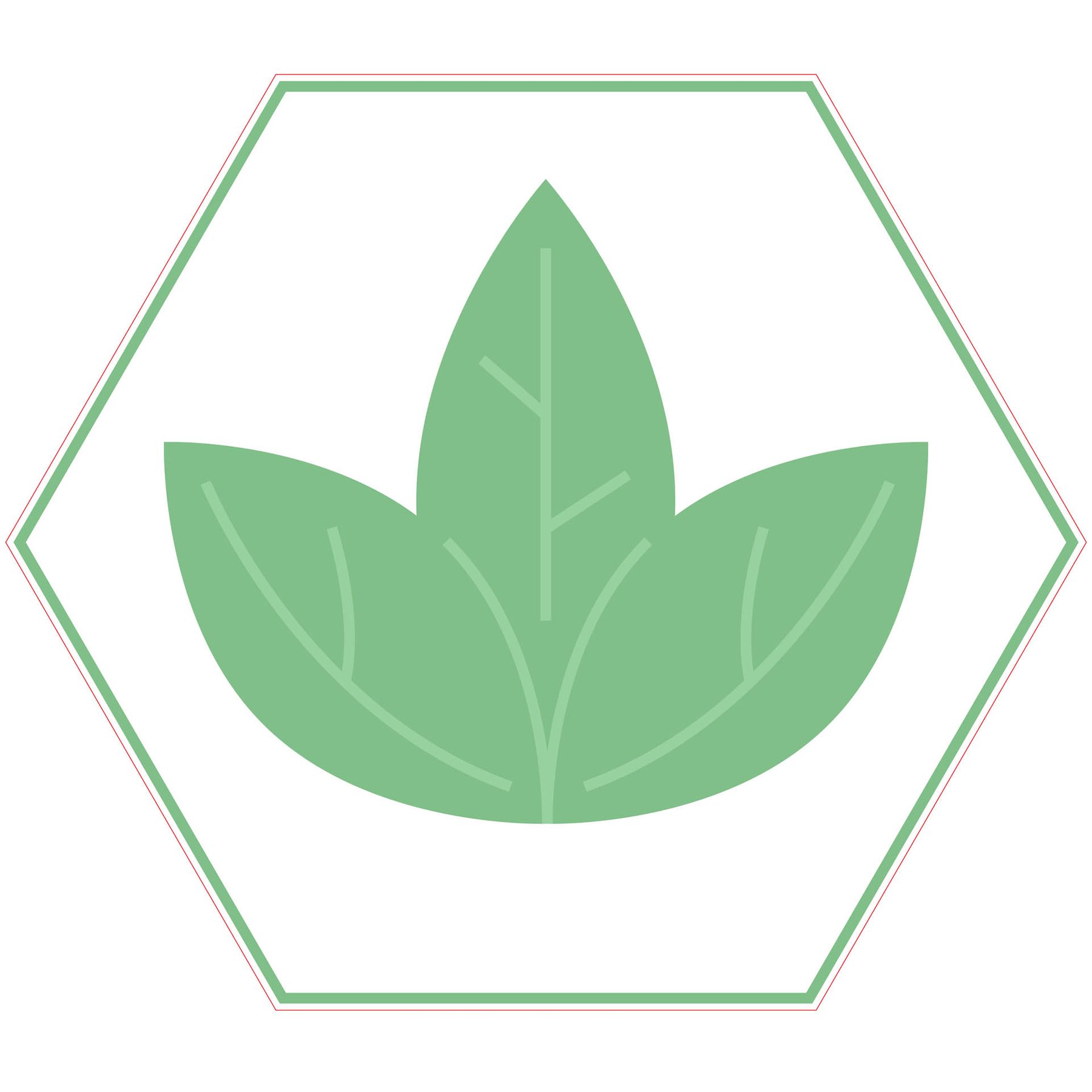 STEM Sticker, Natural Sciences – Biology, set F8, 50 cm, sticker 5