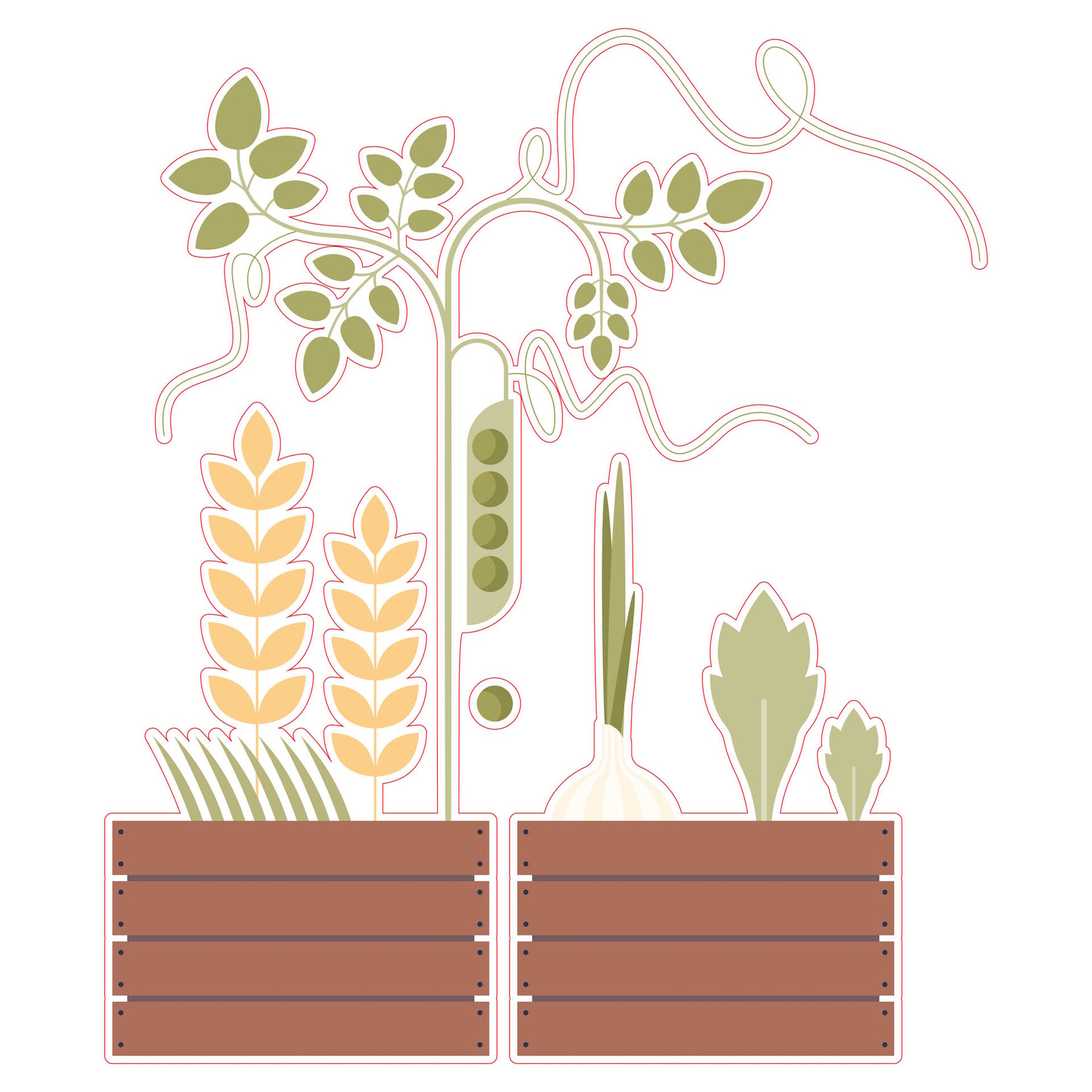 STEM Sticker, Natural Sciences – Biology, set F10, 50 cm, sticker 3