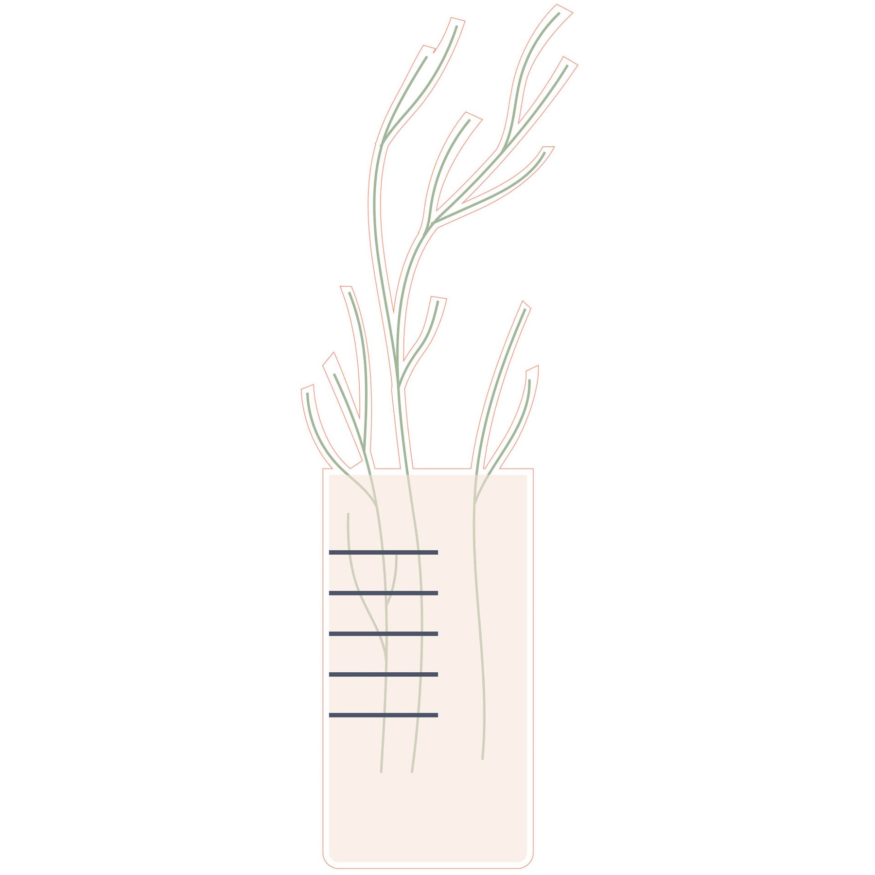 STEM Sticker, Natural Sciences – Biology, set F10, 50 cm, sticker 8