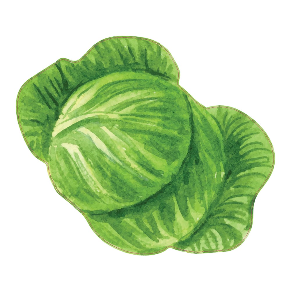 STEM Стикер, За най-малките, комплект P5, 50 cm, стикер 1