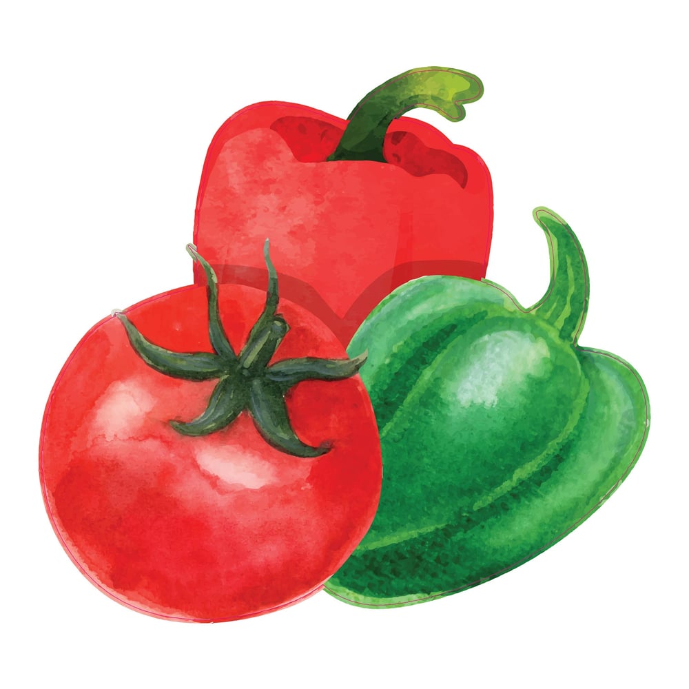 STEM Стикер, За най-малките, комплект P5, 50 cm, стикер 5