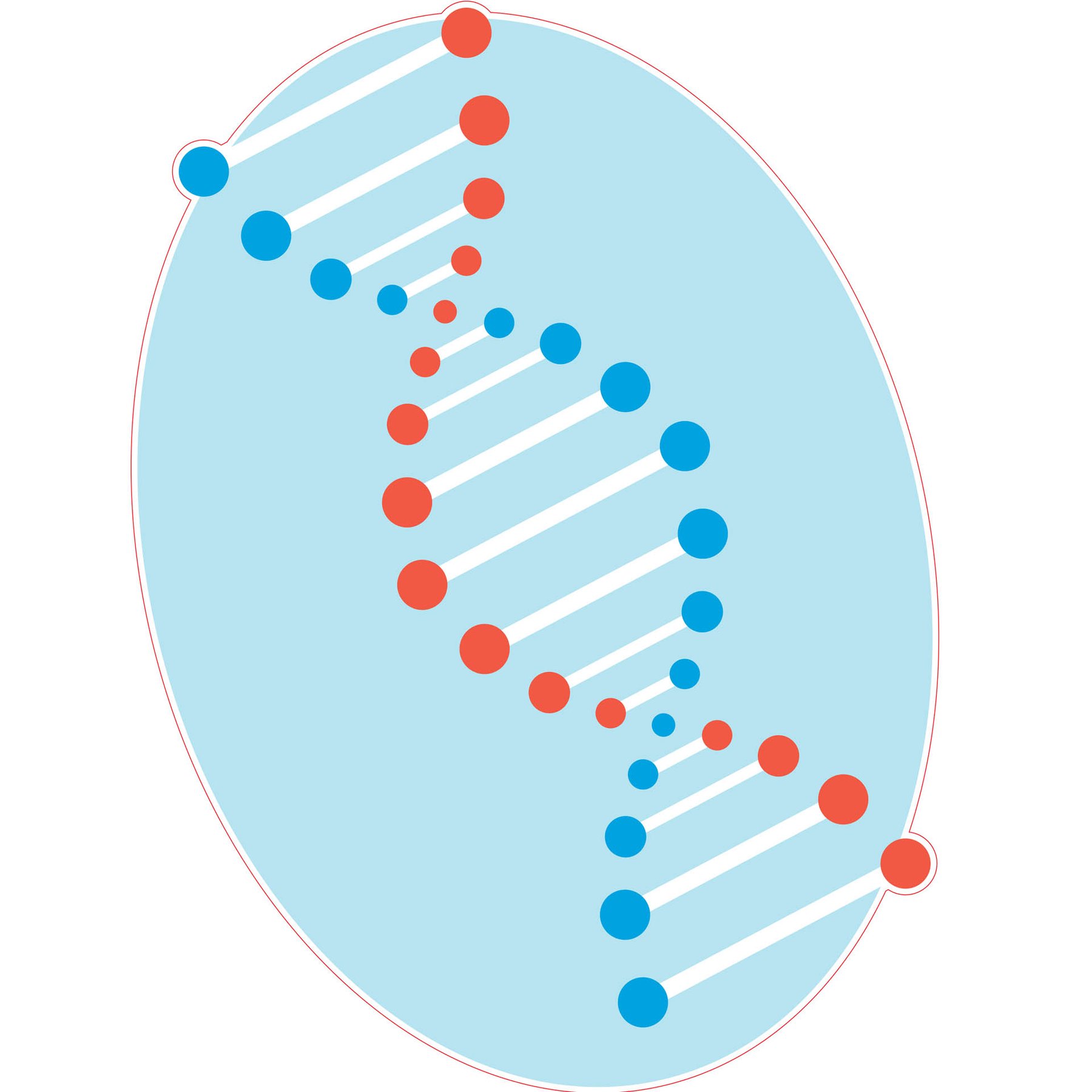 STEM Sticker, Natural sciences - Biology, set F1, 80 cm, sticker 2