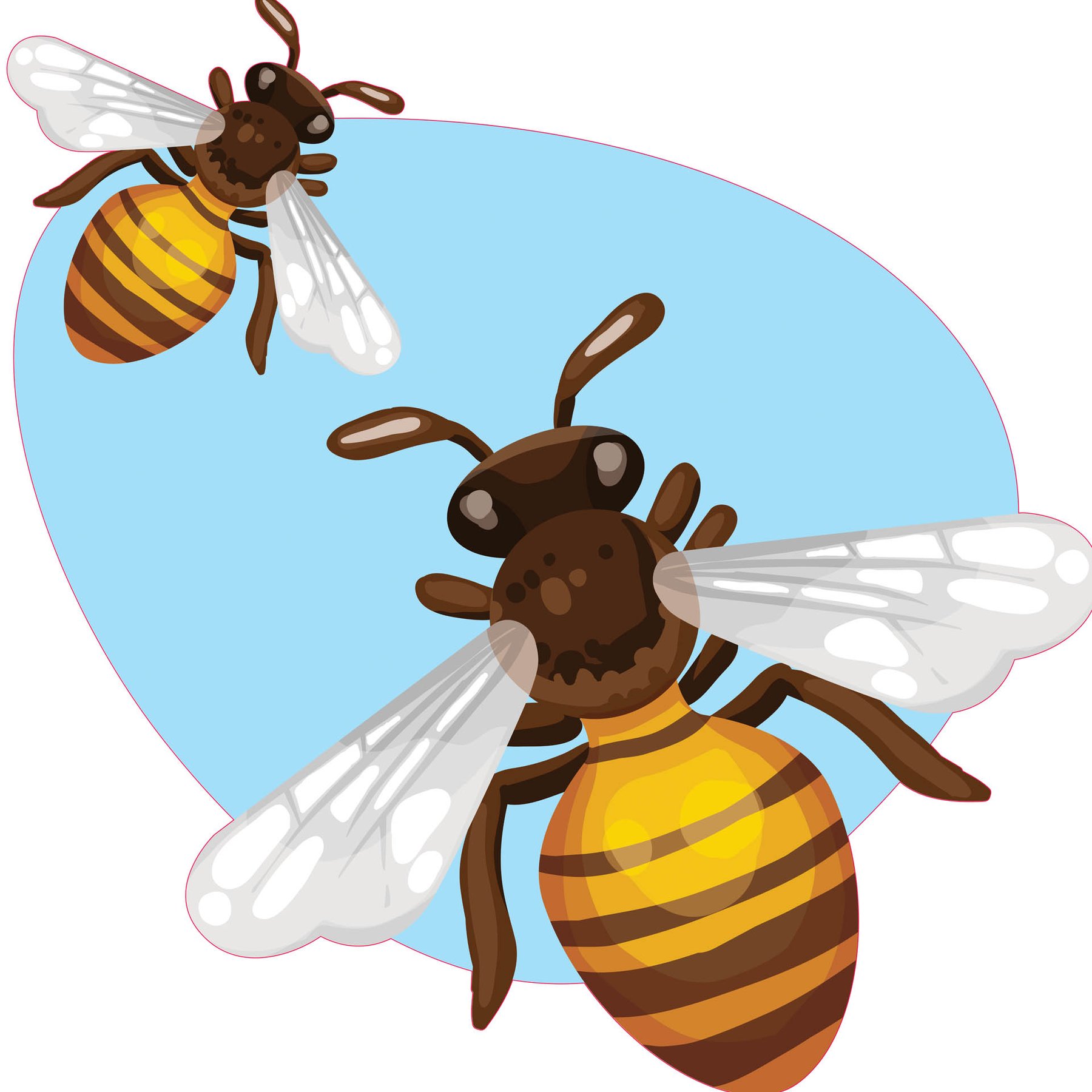 STEM Sticker, Natural sciences - Biology, set F2, 80 cm, sticker 8
