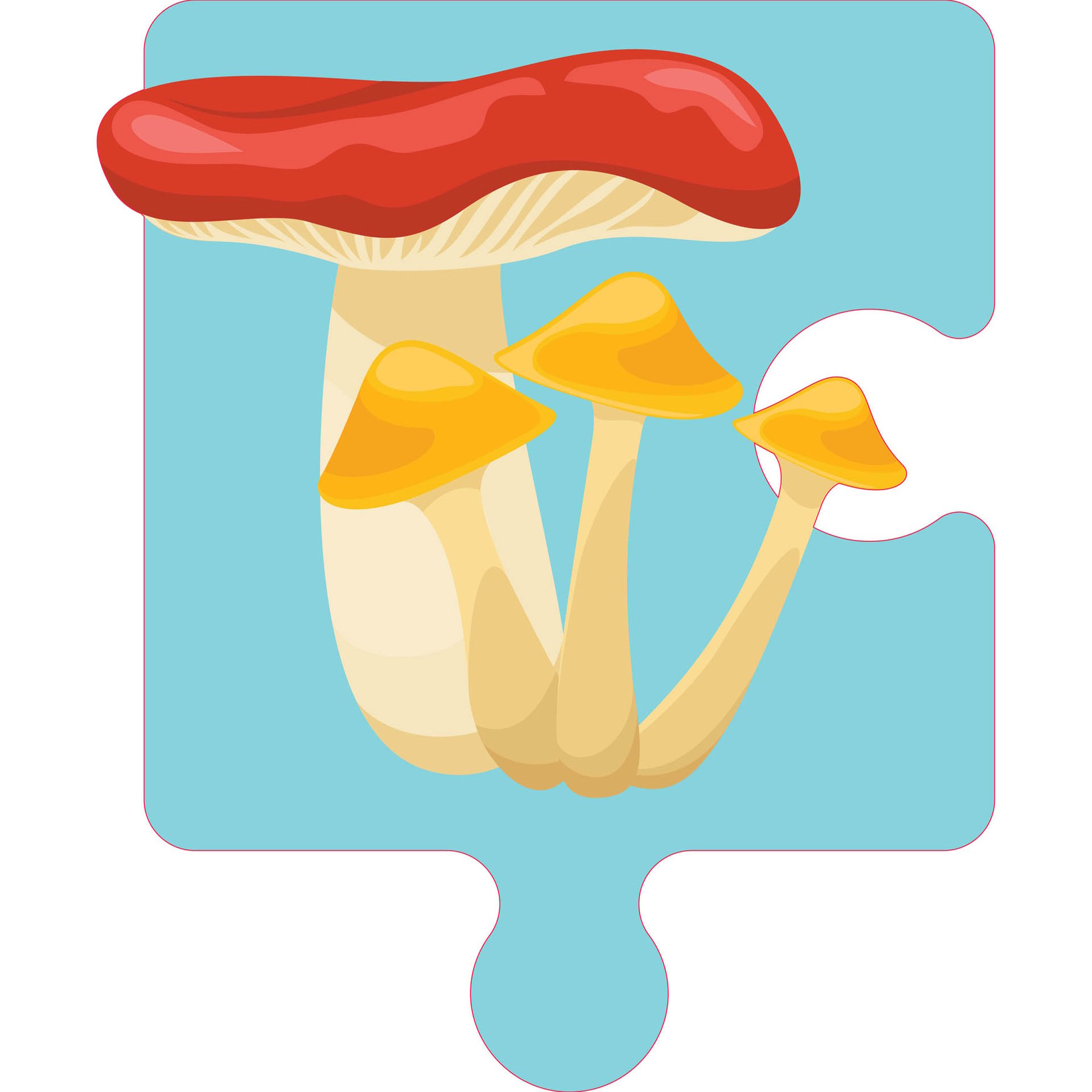 STEM Sticker, Natural Sciences - Biology, set F3, 80 cm, sticker 1