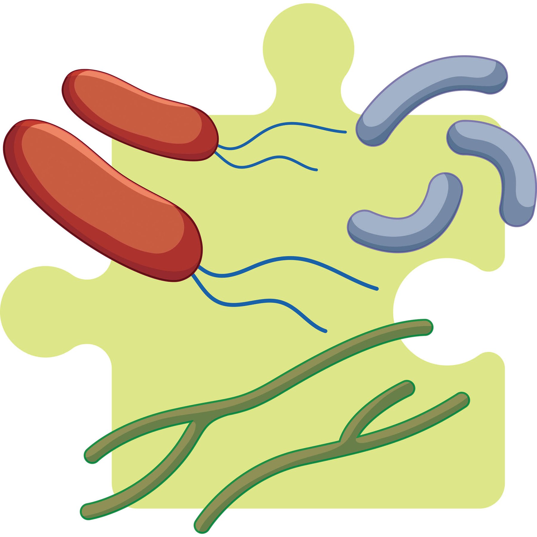 STEM Sticker, Natural Sciences – Biology, set F3, 80 cm, sticker 5