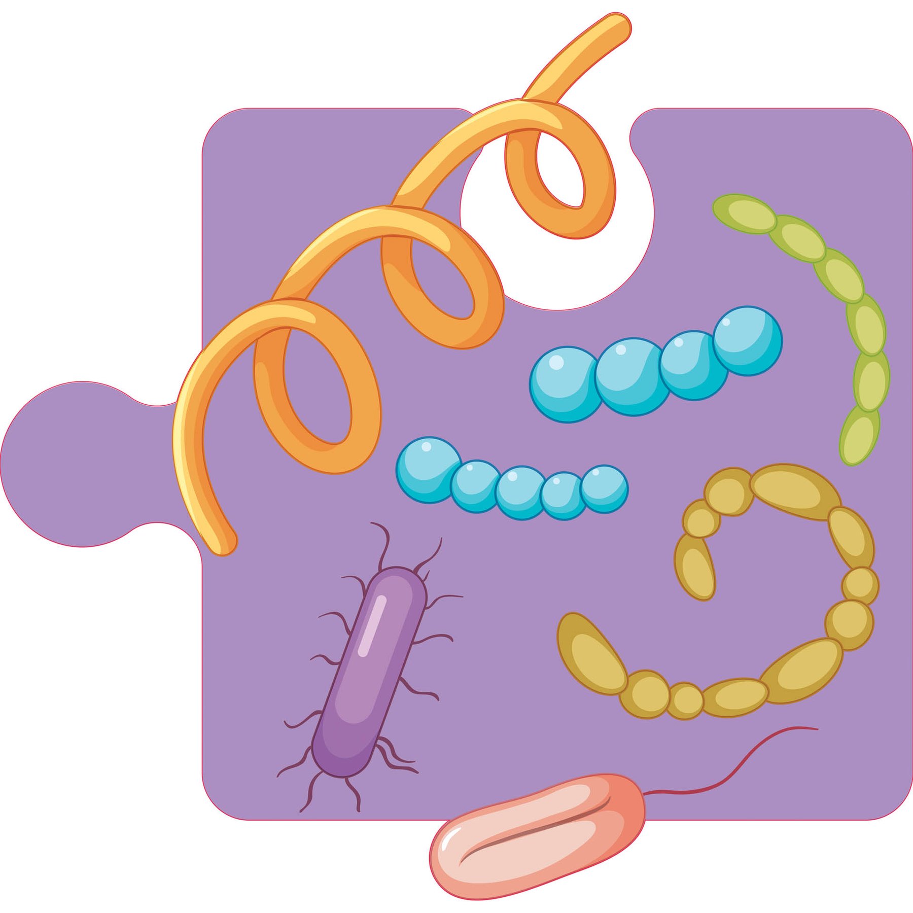 STEM Sticker, Natural sciences - Biology, set F3, 80 cm, sticker 6