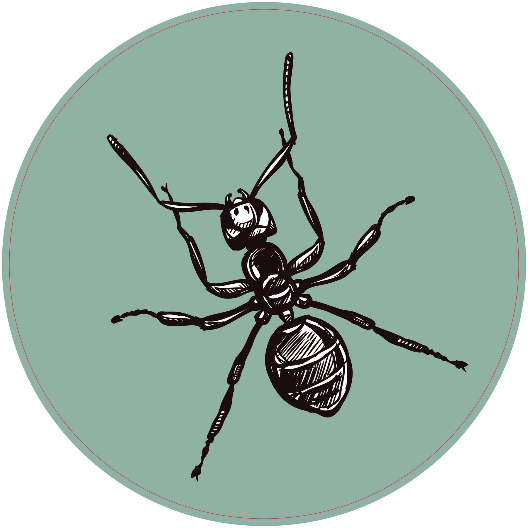 STEM Sticker, Natural Sciences - Biology, set F6, 80 cm, sticker 2