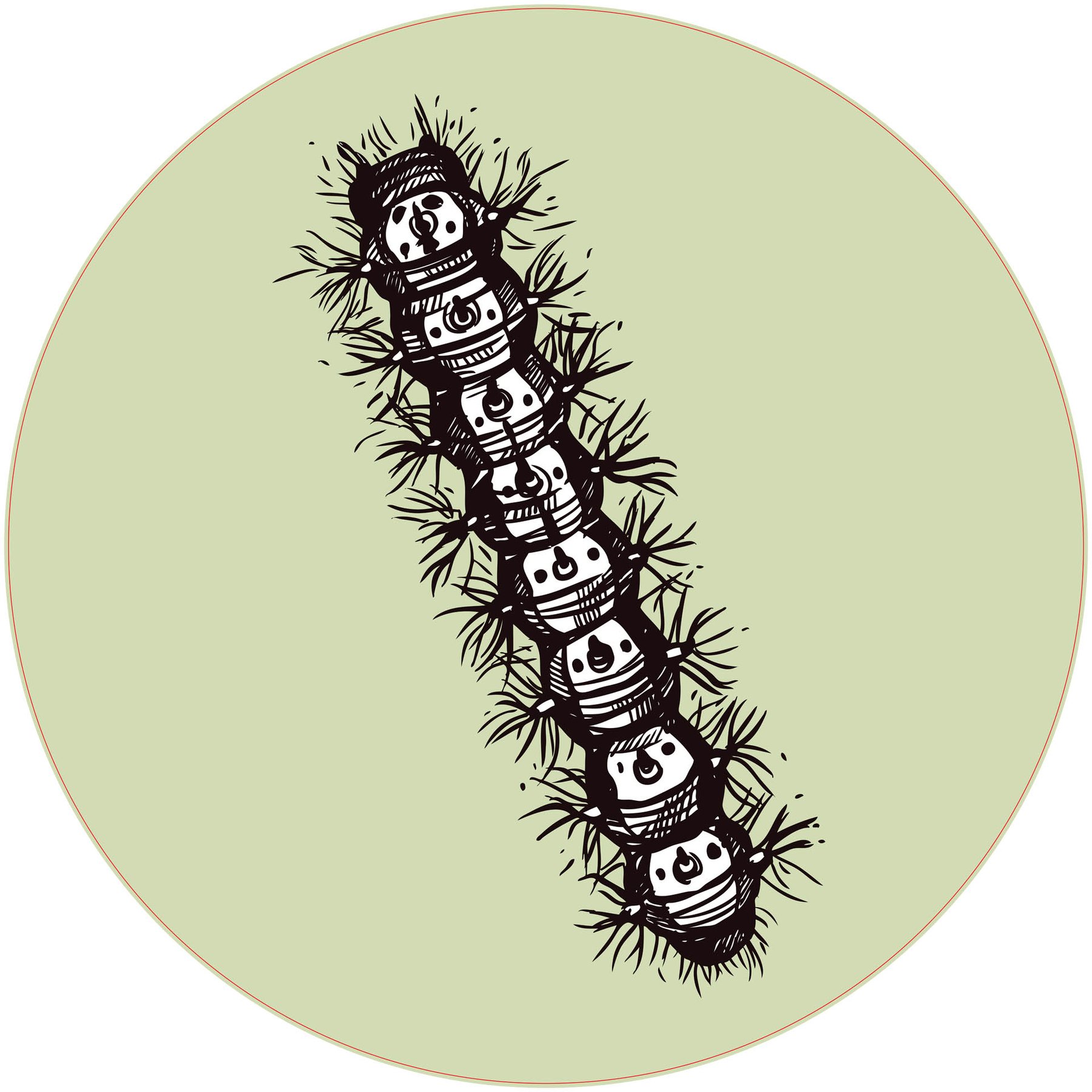 STEM Sticker, Natural Sciences - Biology, set F6, 80 cm, sticker 6