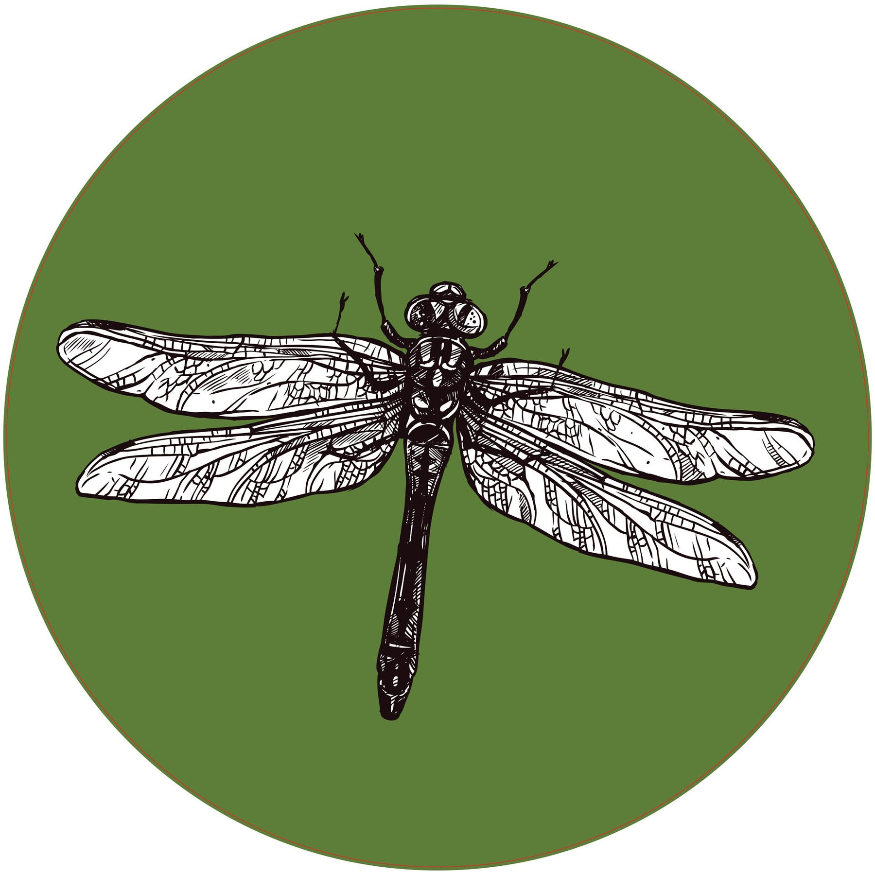 STEM Sticker, Natural Sciences - Biology, set F6, 80 cm, sticker 7