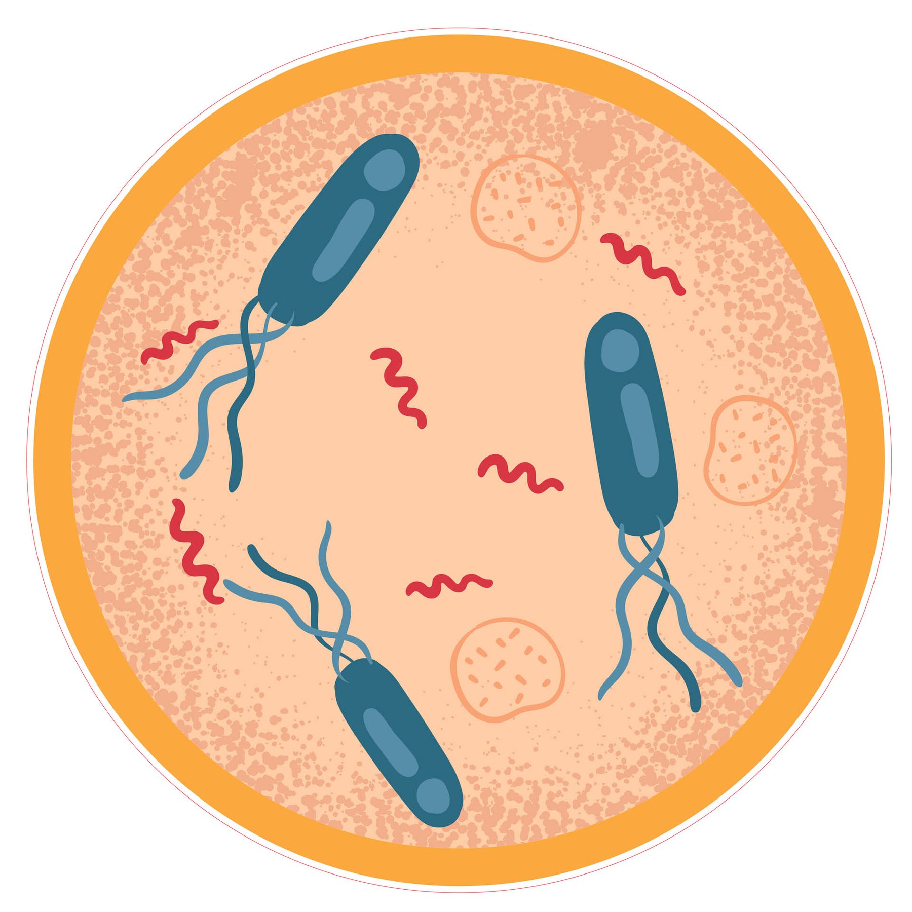 STEM Sticker, Natural sciences - Biology, set F7, 80 cm, sticker 3